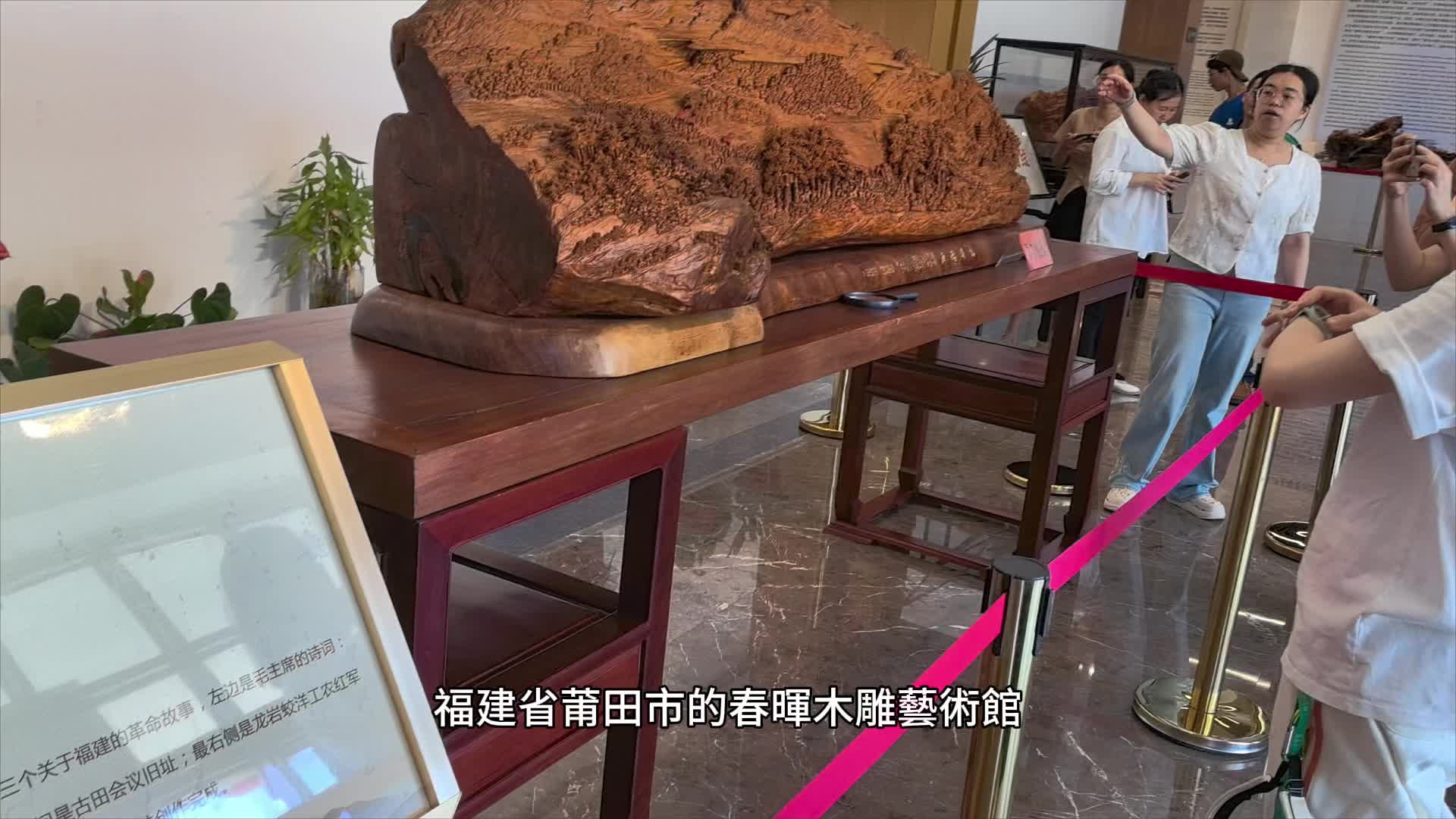 （有片）范長江行動福建行｜木雕中的壯麗河山