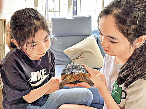 ■主人兩位千金十分愛錫「番茄」。