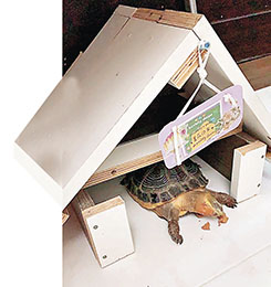 ■住：整咗間屋畀我住，隨便參觀！