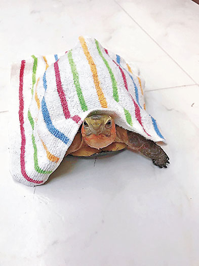 ■衣：大家驚我凍親，用毛巾幫我保暖！