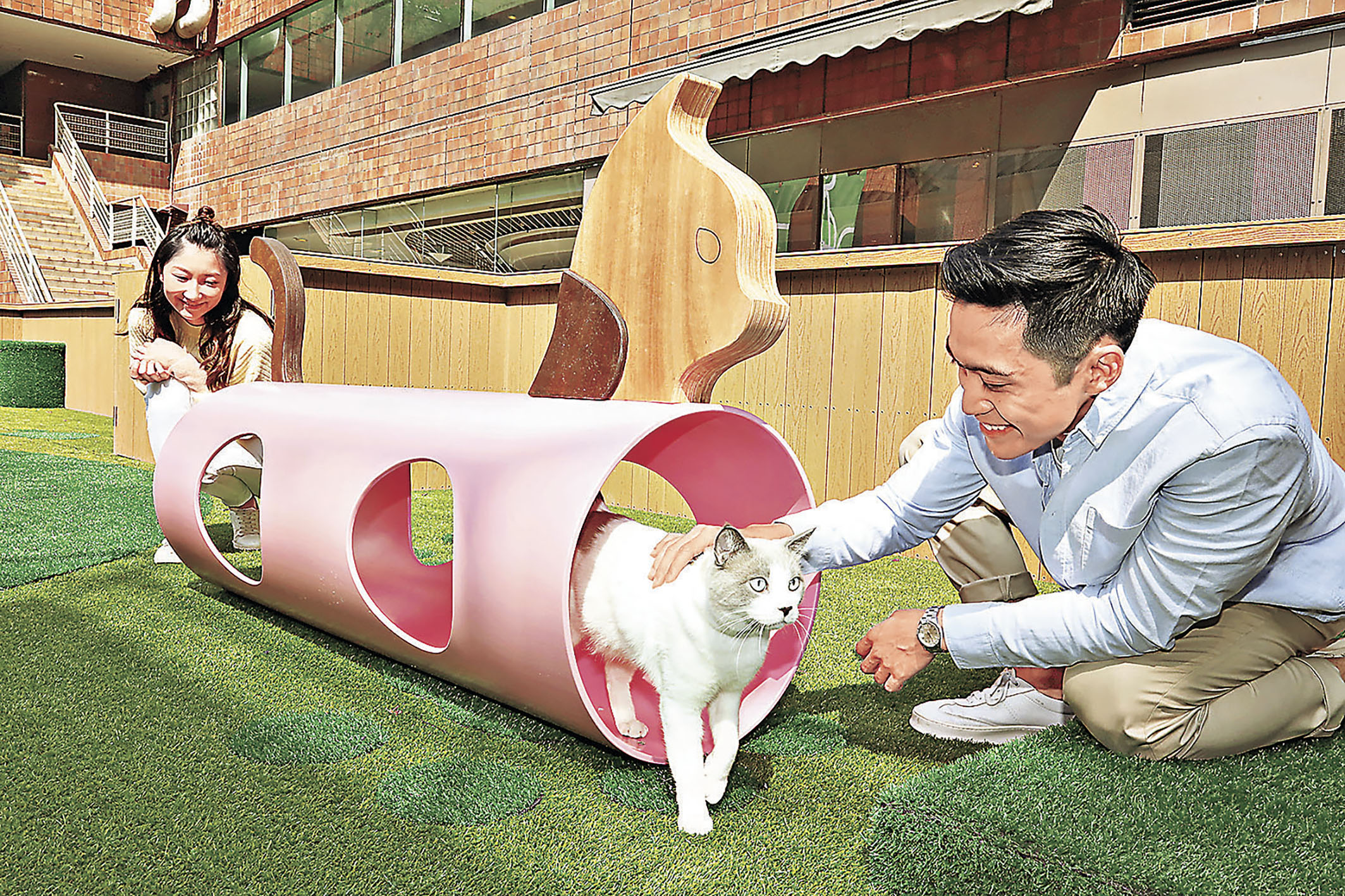 ■同樂園設有貓咪隧道。