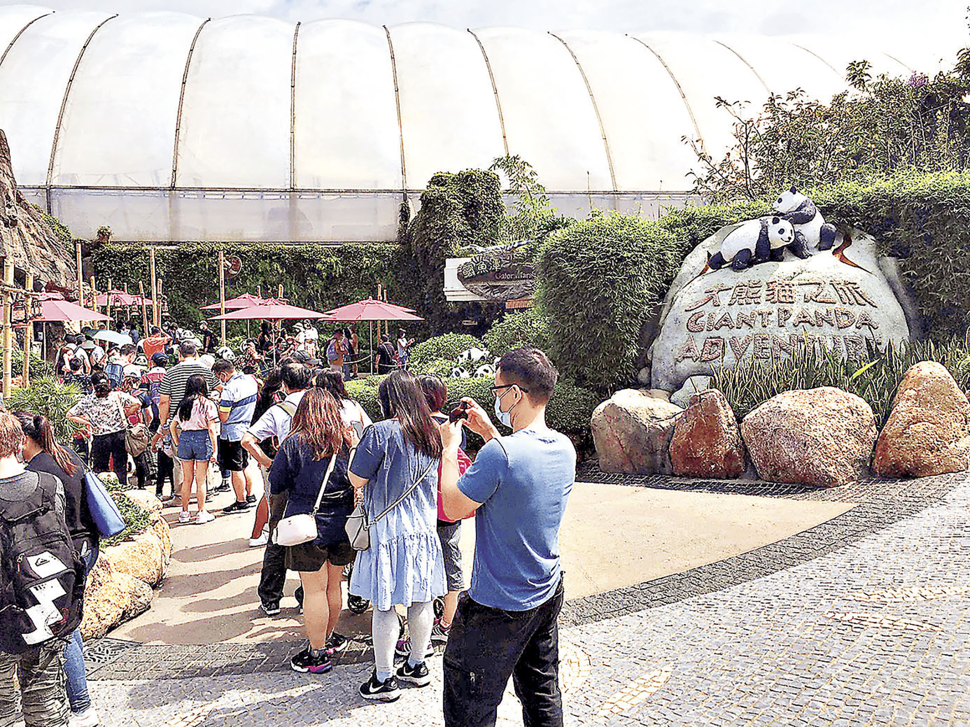 ■大熊貓之旅以往不乏排隊人龍。