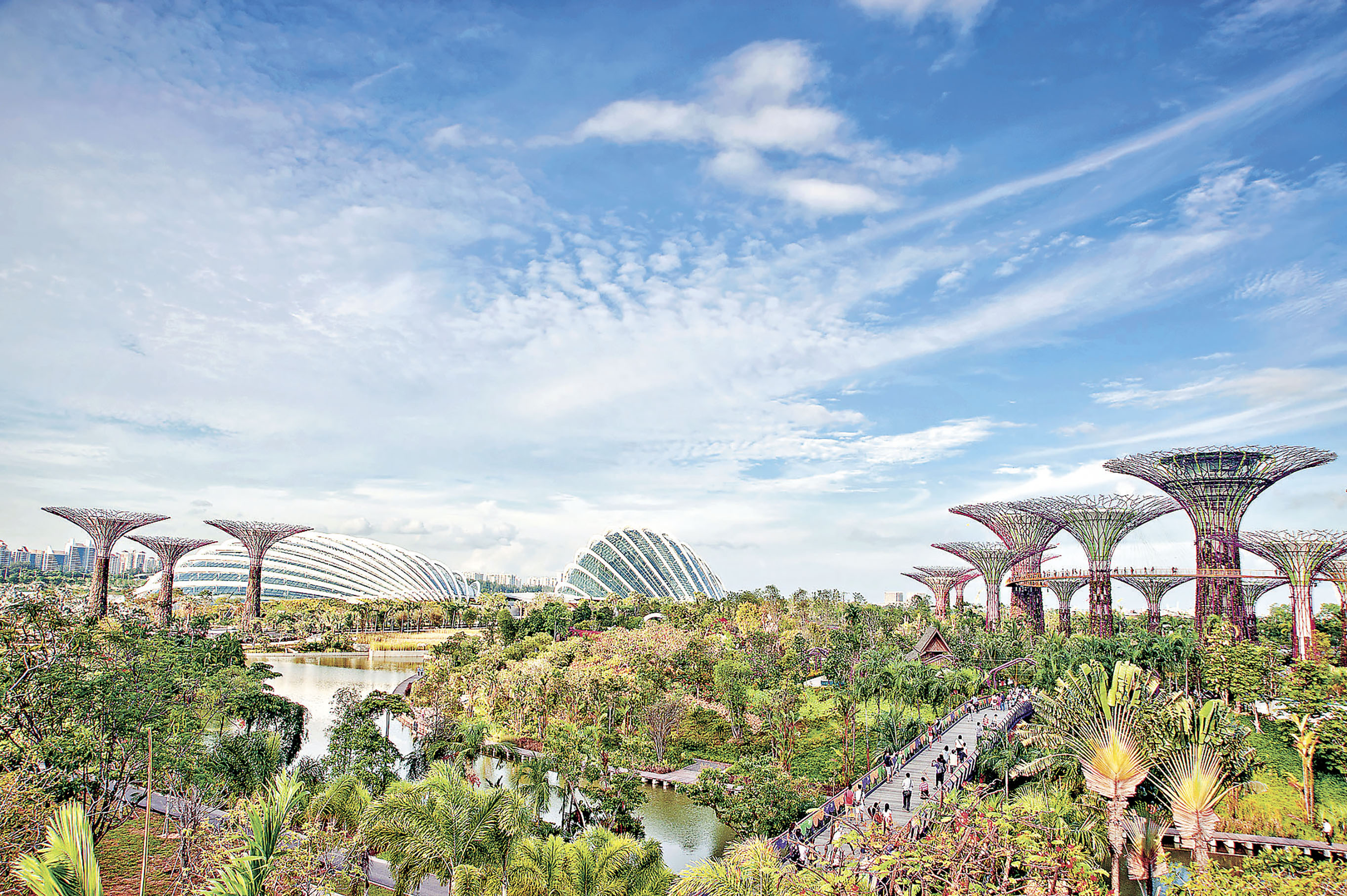 ■新加坡靚景多多。