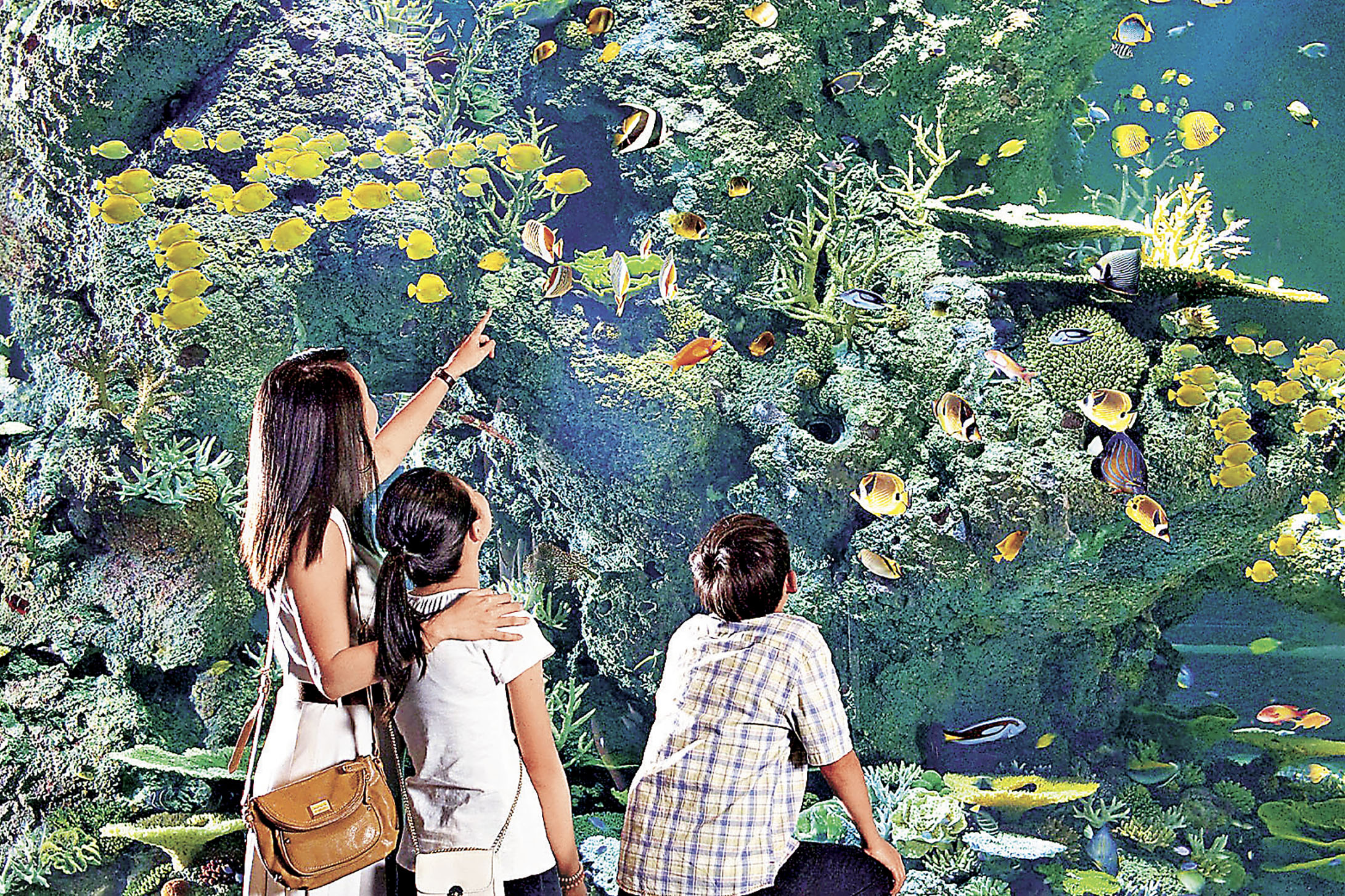 ■一家大細最啱去海洋館尋樂。