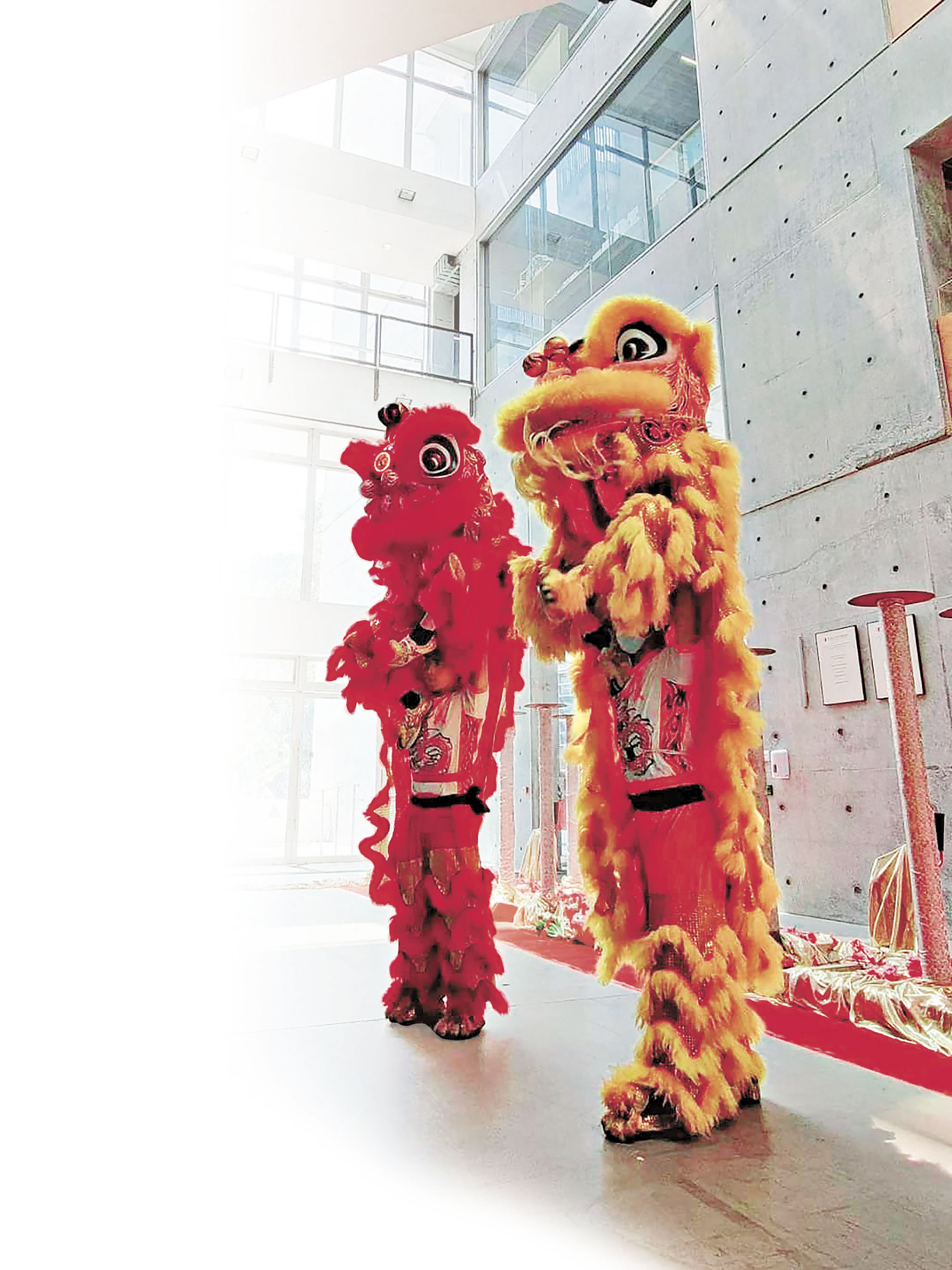 ■受疫情影響，本地舞獅表演遲遲未能復辦。