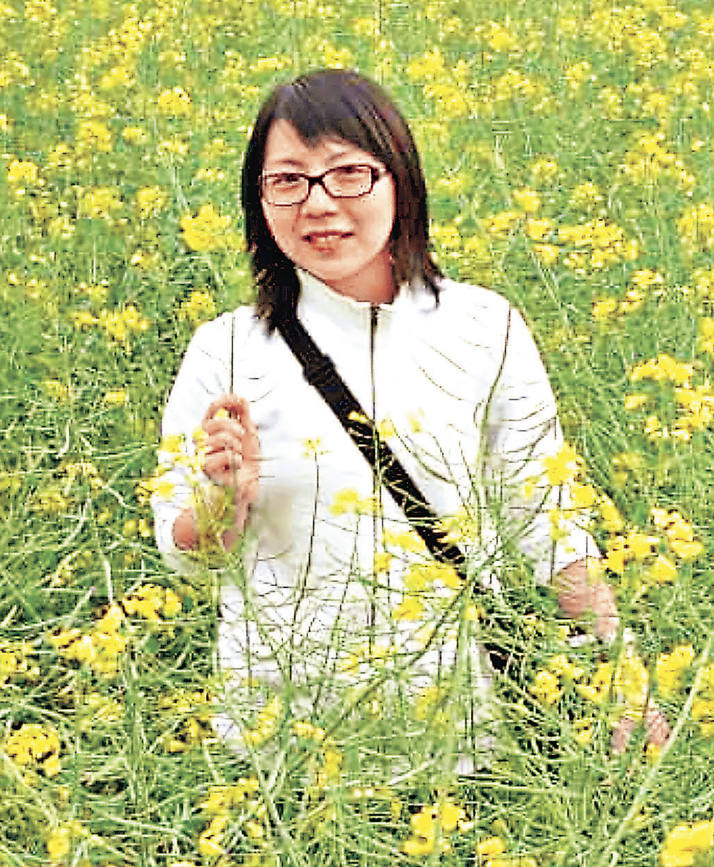 ■吳敏祺  國際中藥及食品發展聯會