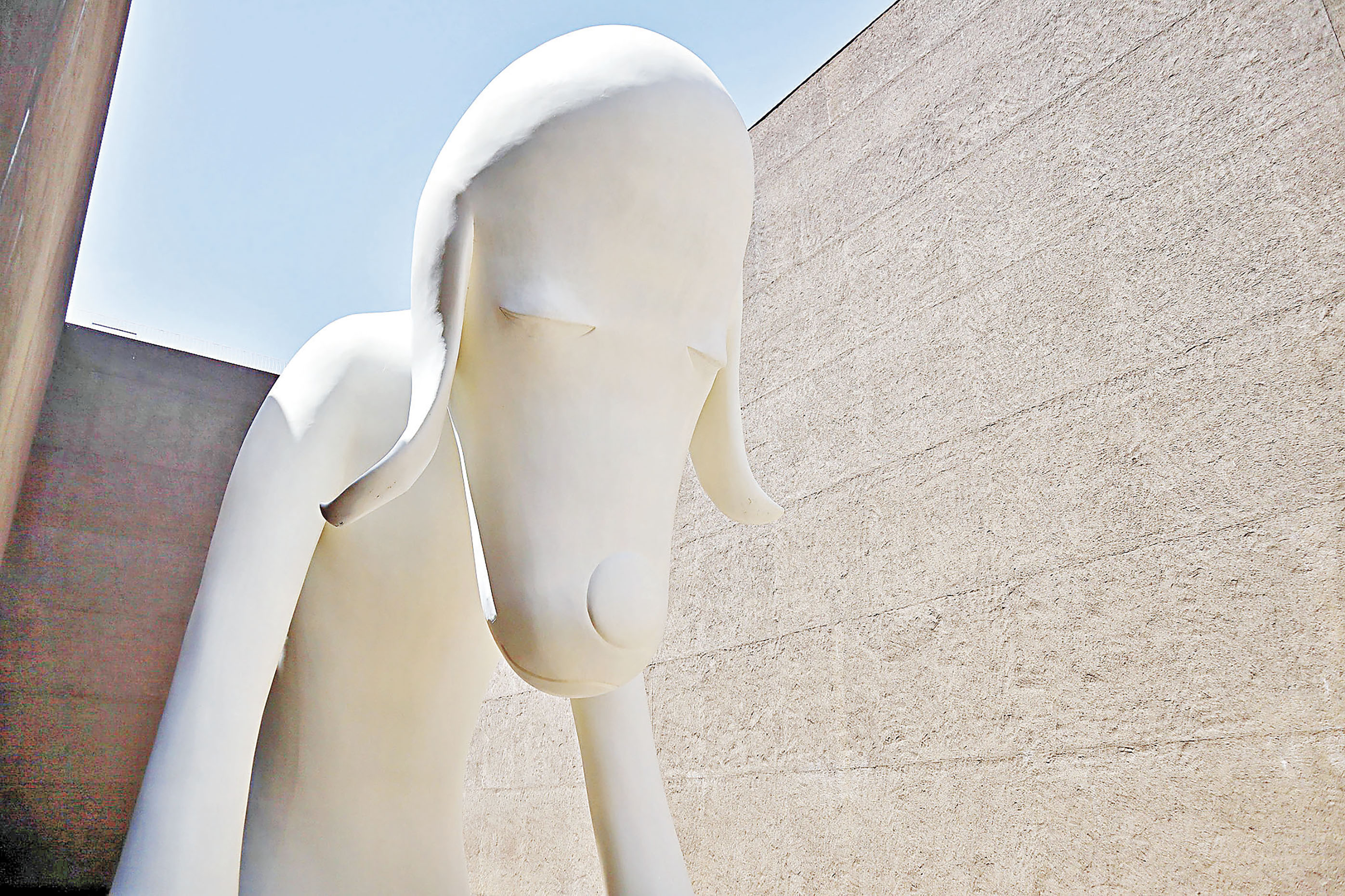 ■館藏的代表作品青森犬