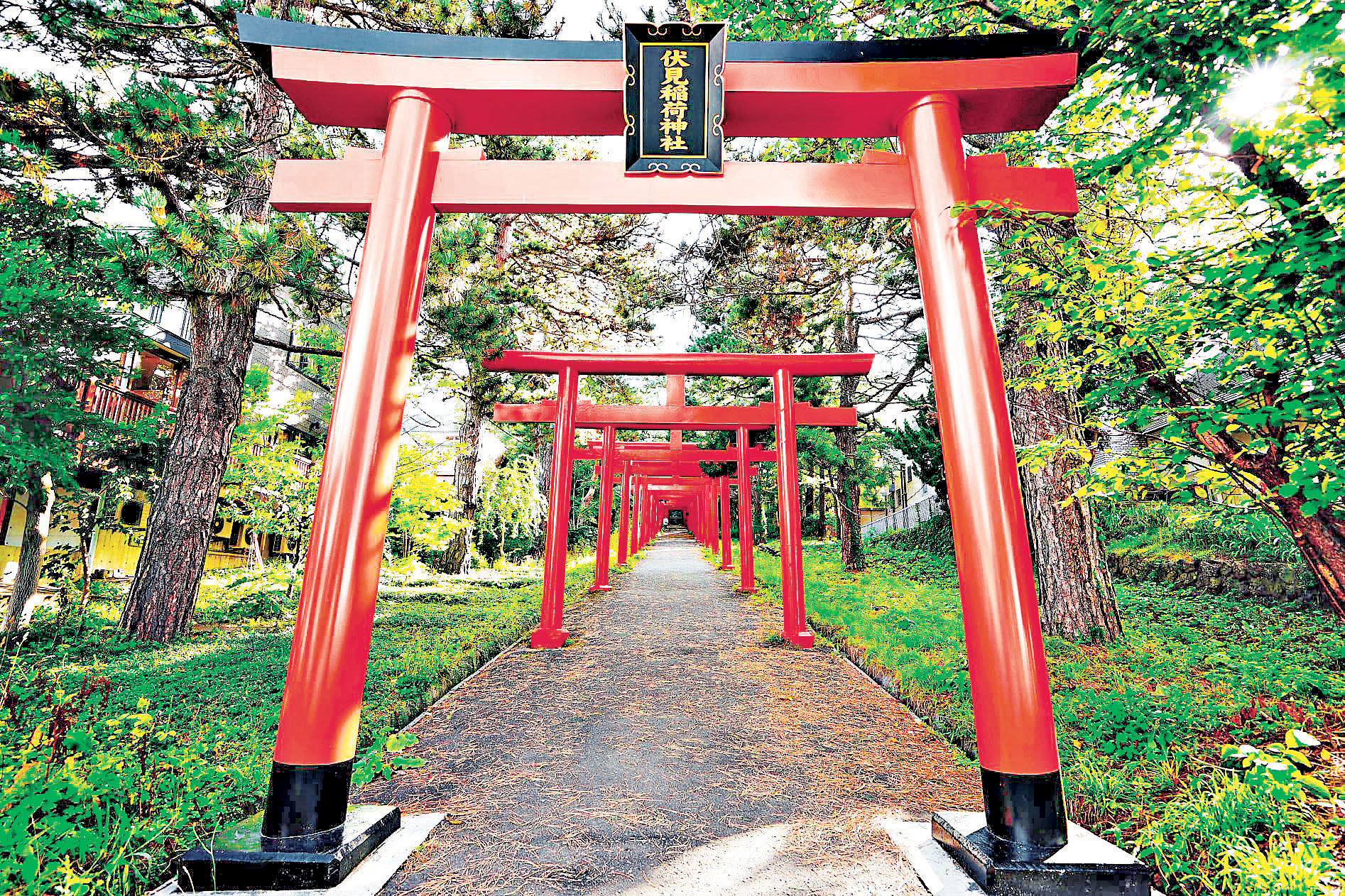 ■札幌伏見稻荷神社共有27個鳥居。