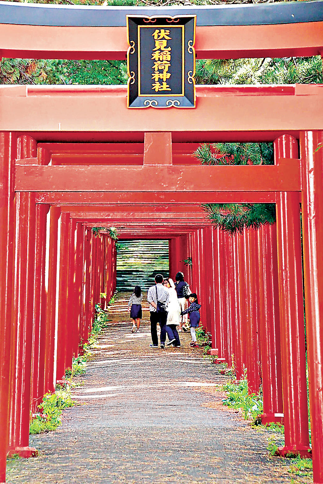 ■紅色的鳥居是伏見稻荷神社的標誌。