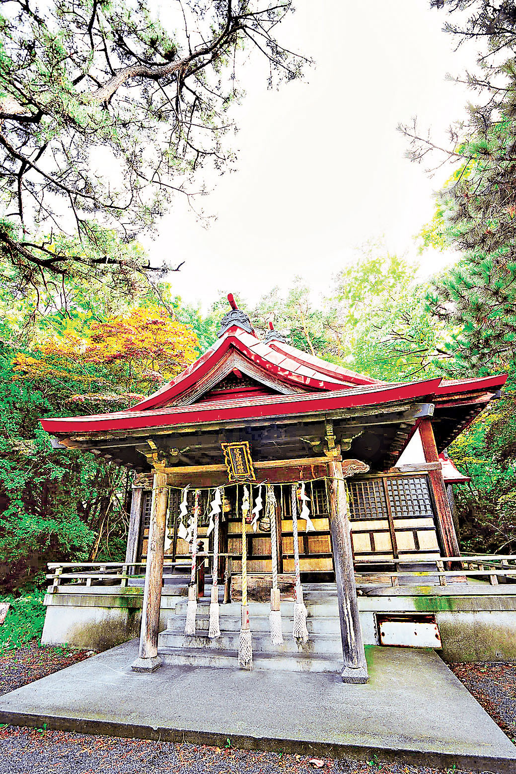 ■來到神社，指定動作自然是許番個願先啦 !