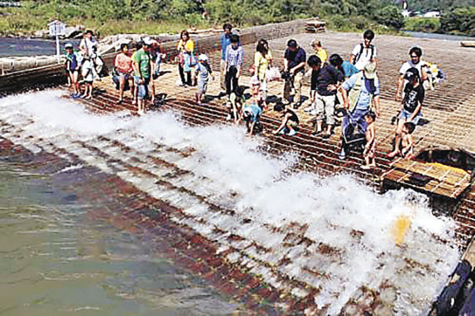 ■居民和遊客齊集河邊，準備捕捉逆流而上的鮎魚。