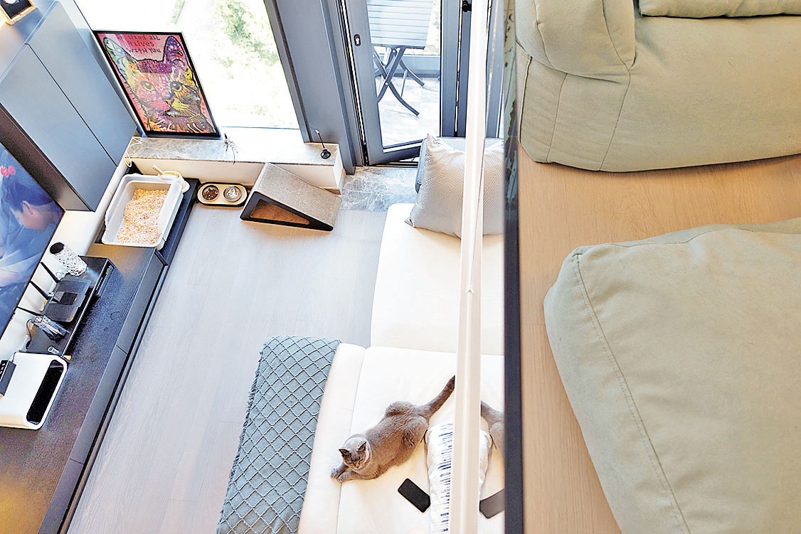 ■由一樓閣樓向下望，貓咪正躺在客廳3座椅梳化上。