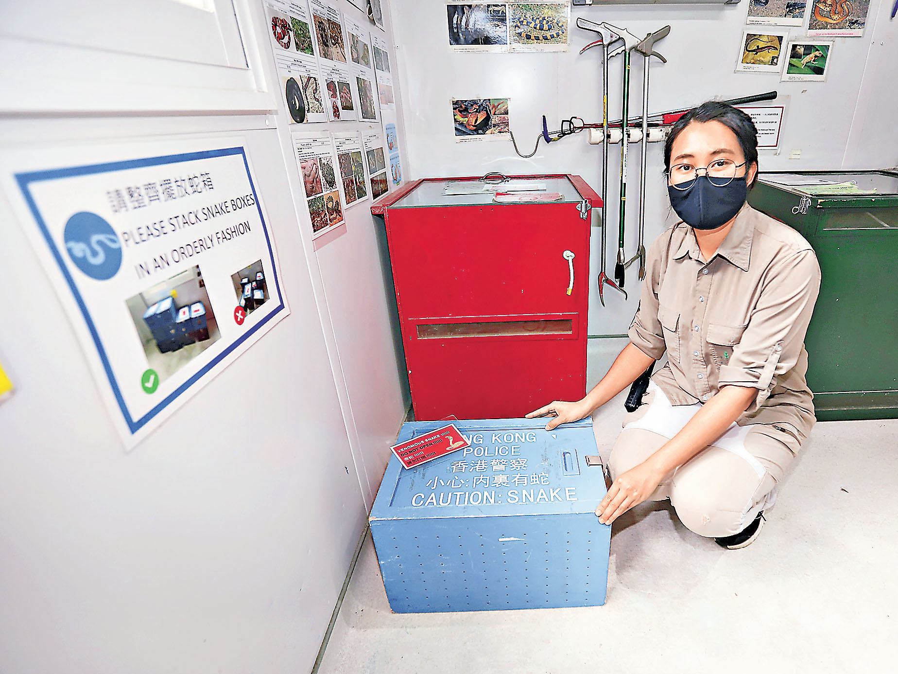 ■Aiko協助處理由警方送來嘉道理農場的蛇箱。