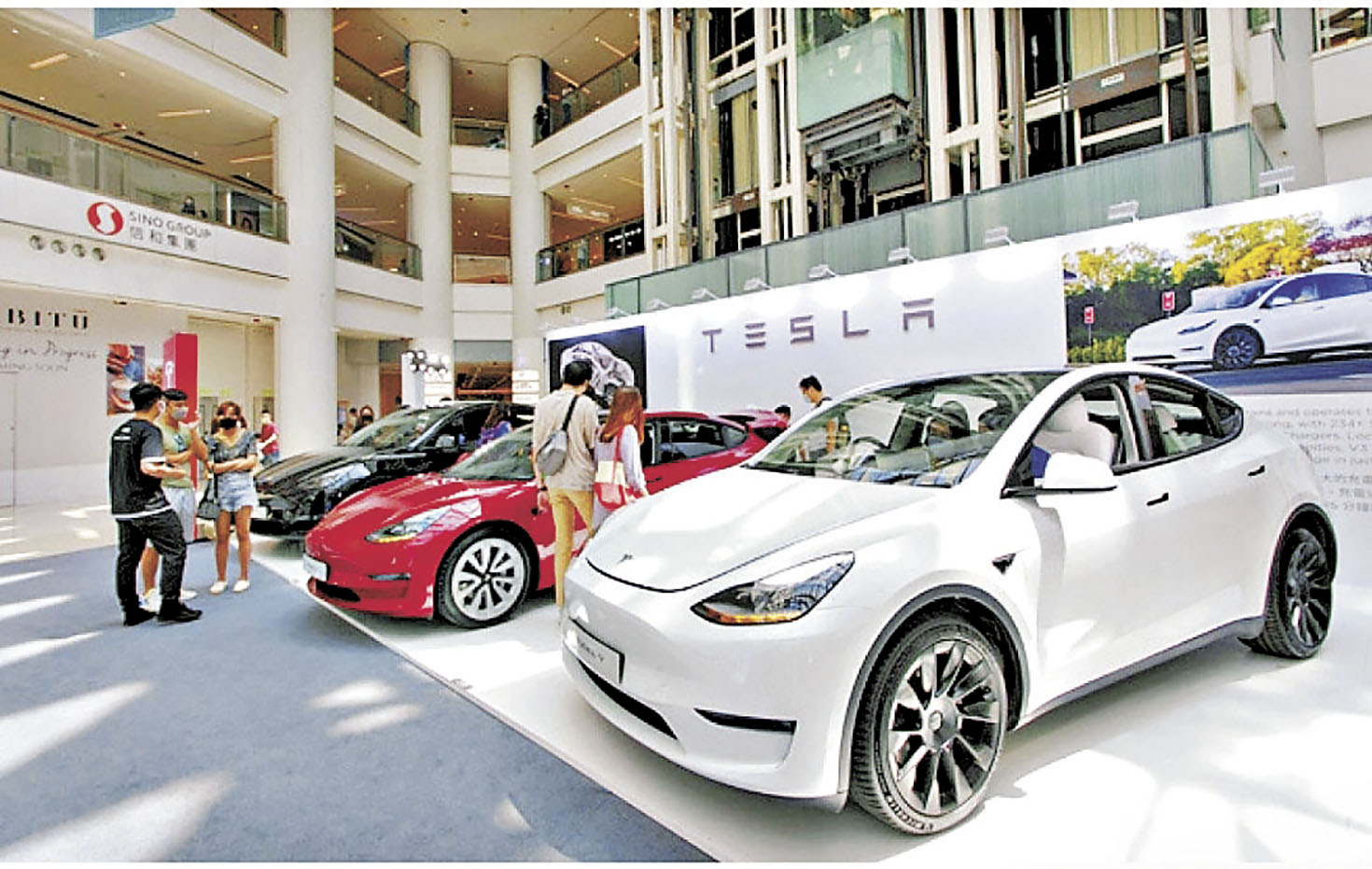 ■電動車龍頭Tesla去年在港售出近8,000輛，銷量一枝獨秀。