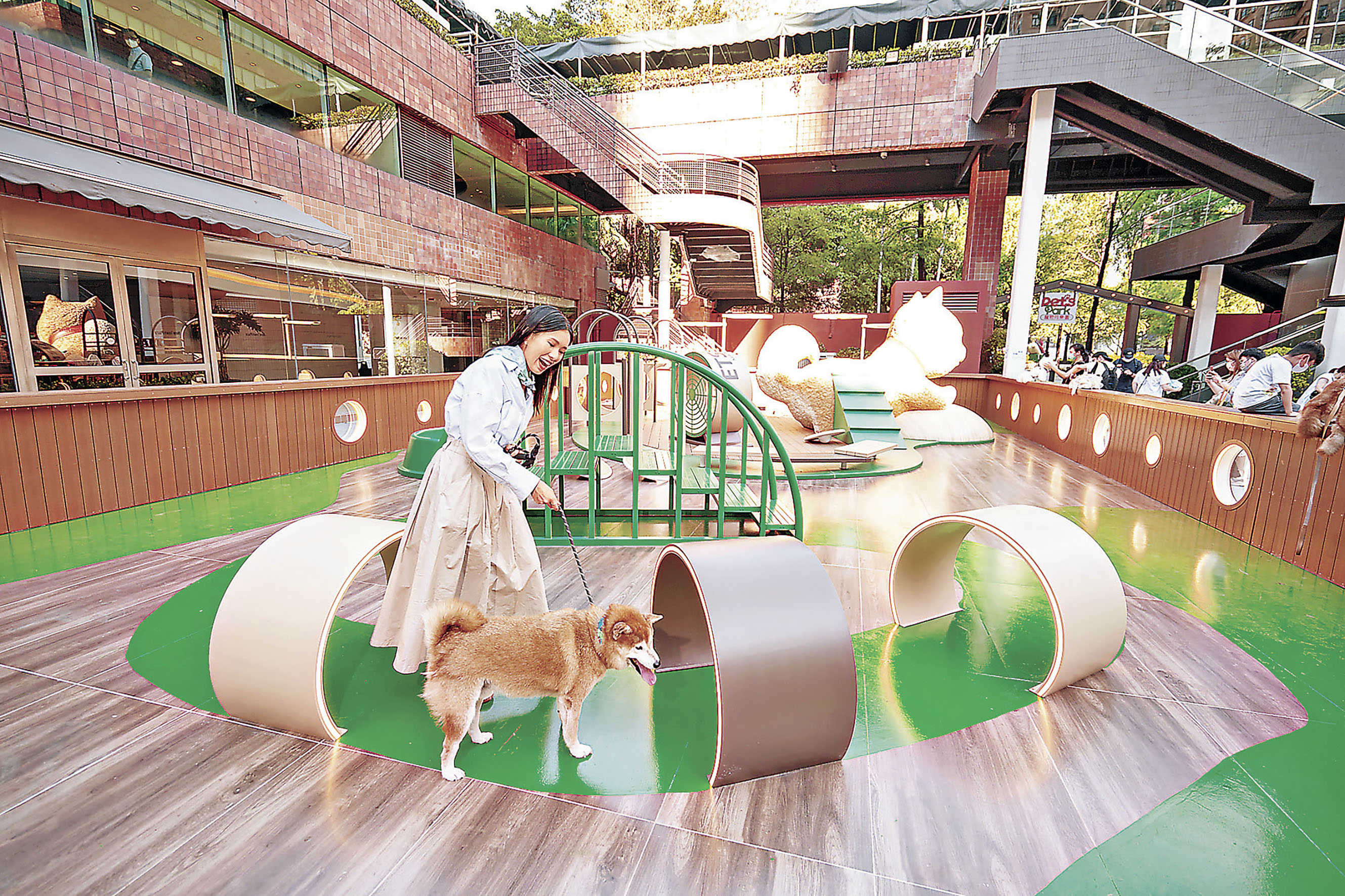 ■「捐山窿隧道」最適合熱愛捐窿捐罅的萌寵們！