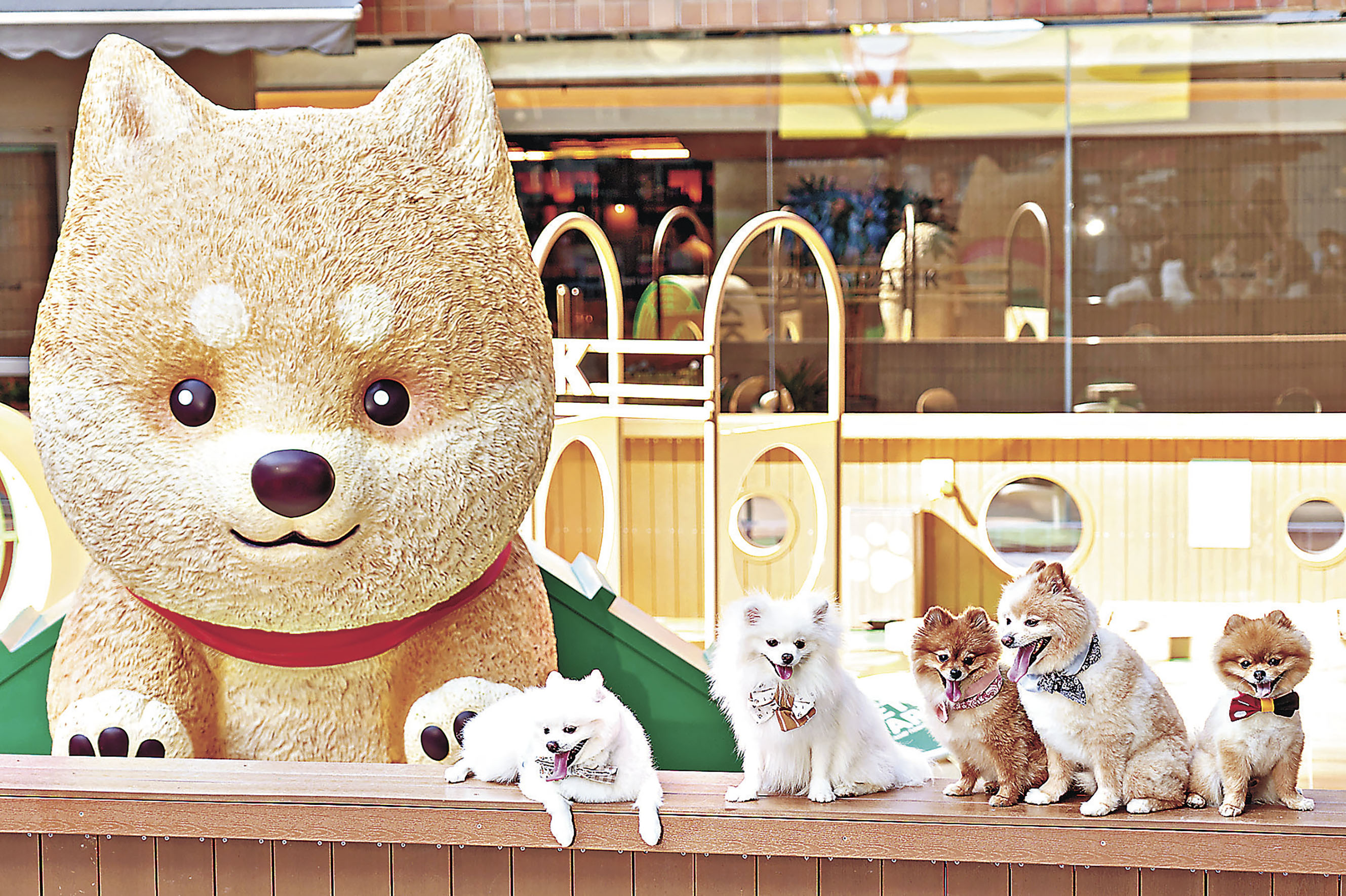 ■寵物歷奇暢玩區有3米高巨犬柴柴，打卡必去。