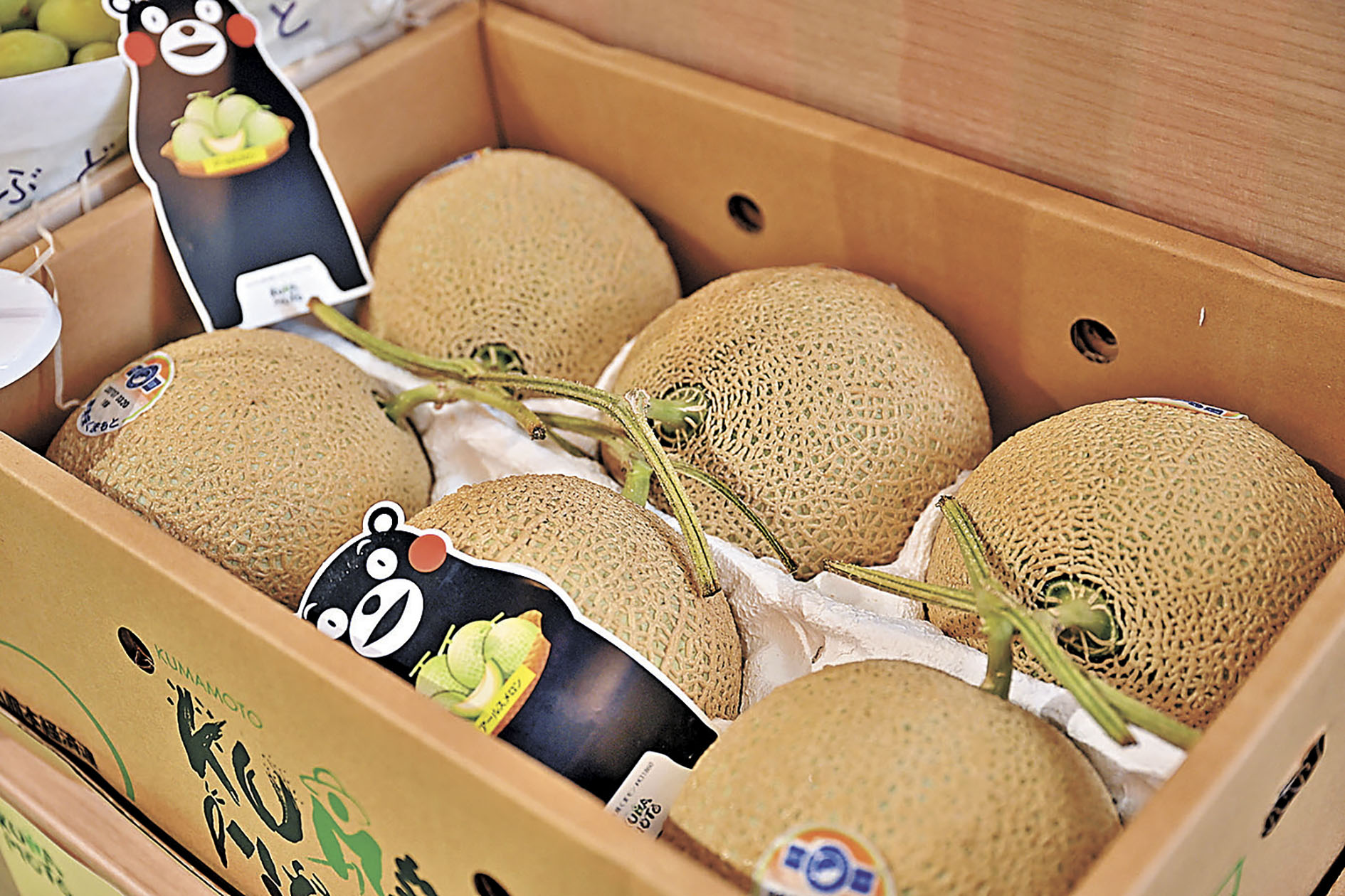 ■熊本縣亞魯斯蜜瓜，新鮮直送！