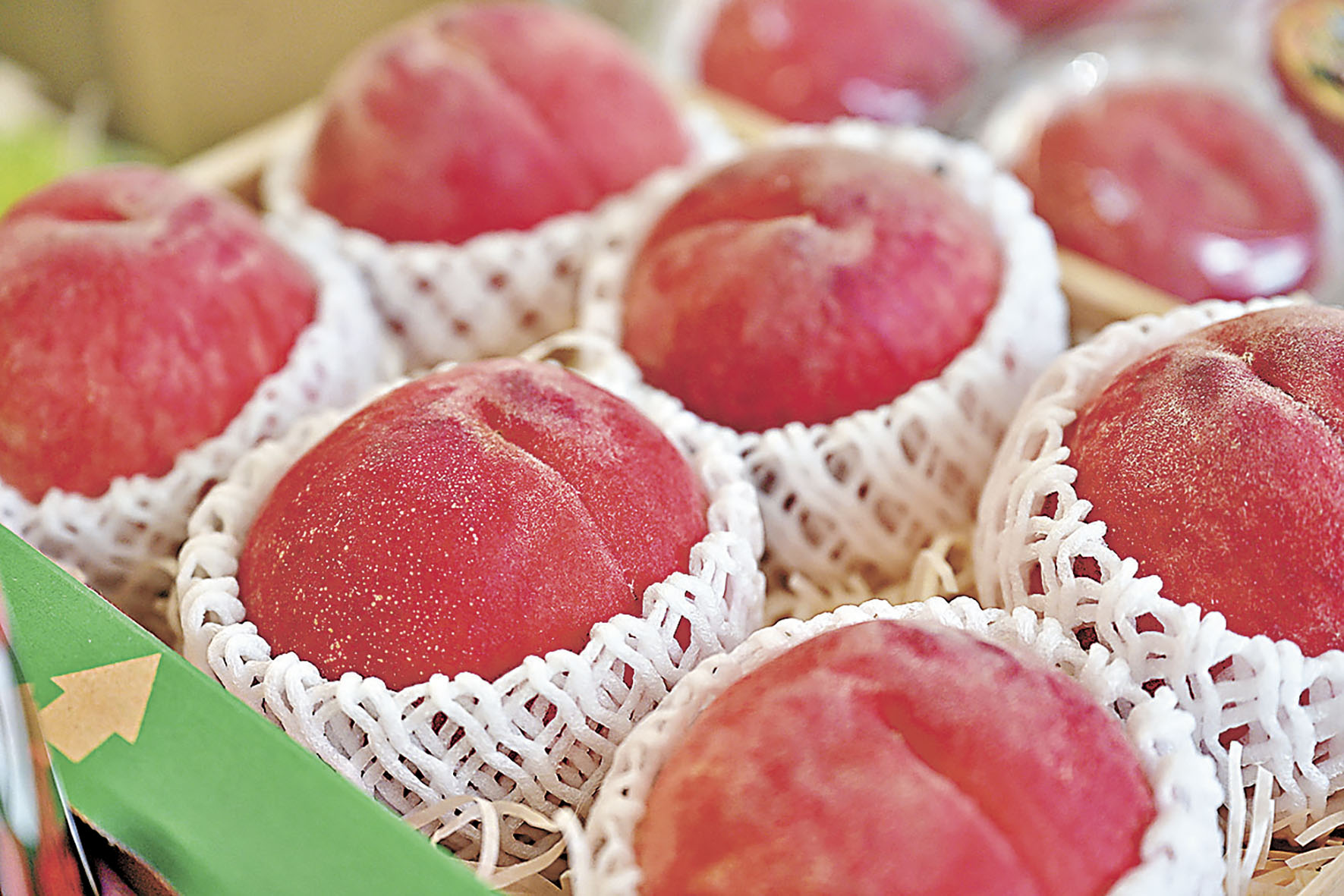 ■熊本縣水蜜桃，美味滿分！