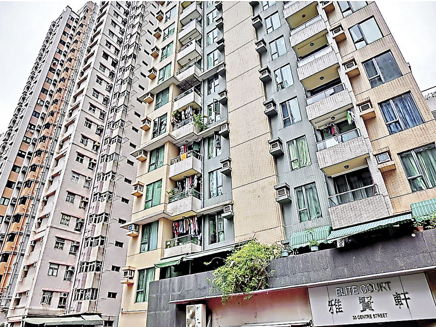 ■雅賢軒環境靜中帶旺。