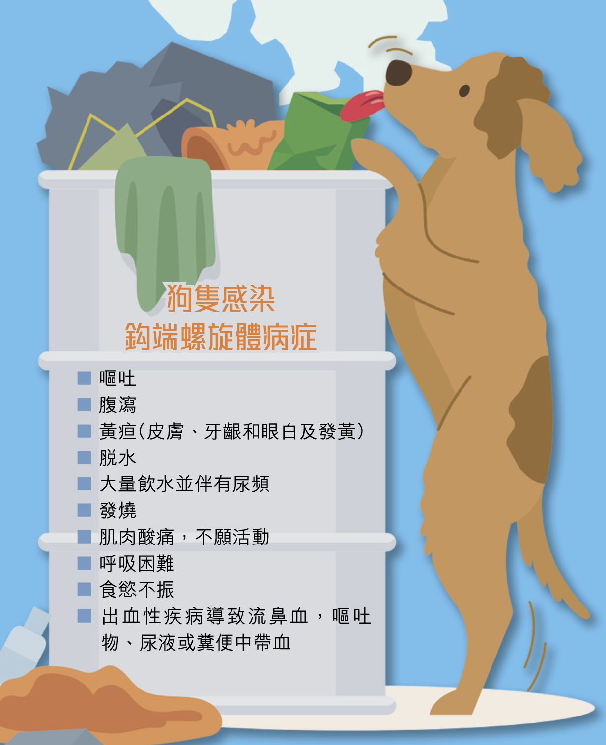 ■狗狗如舔過經老鼠尿液或污水污染的物件，有機會感染鈎端螺旋體。