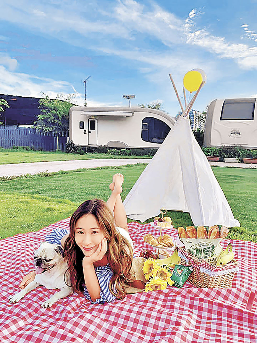 ■不少露營車歡迎寵物入住。