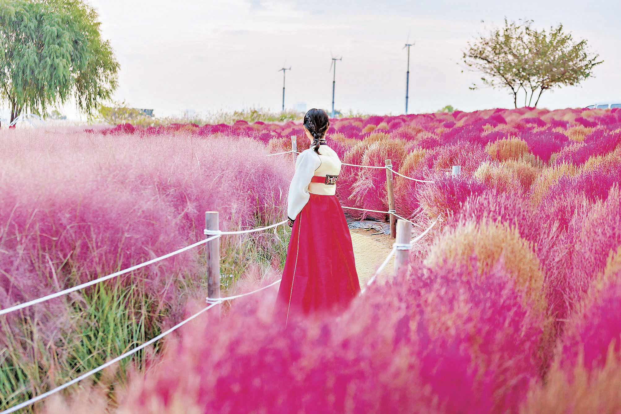 ■韓國雖已恢復免簽證，但入境仍要經PCR檢測。