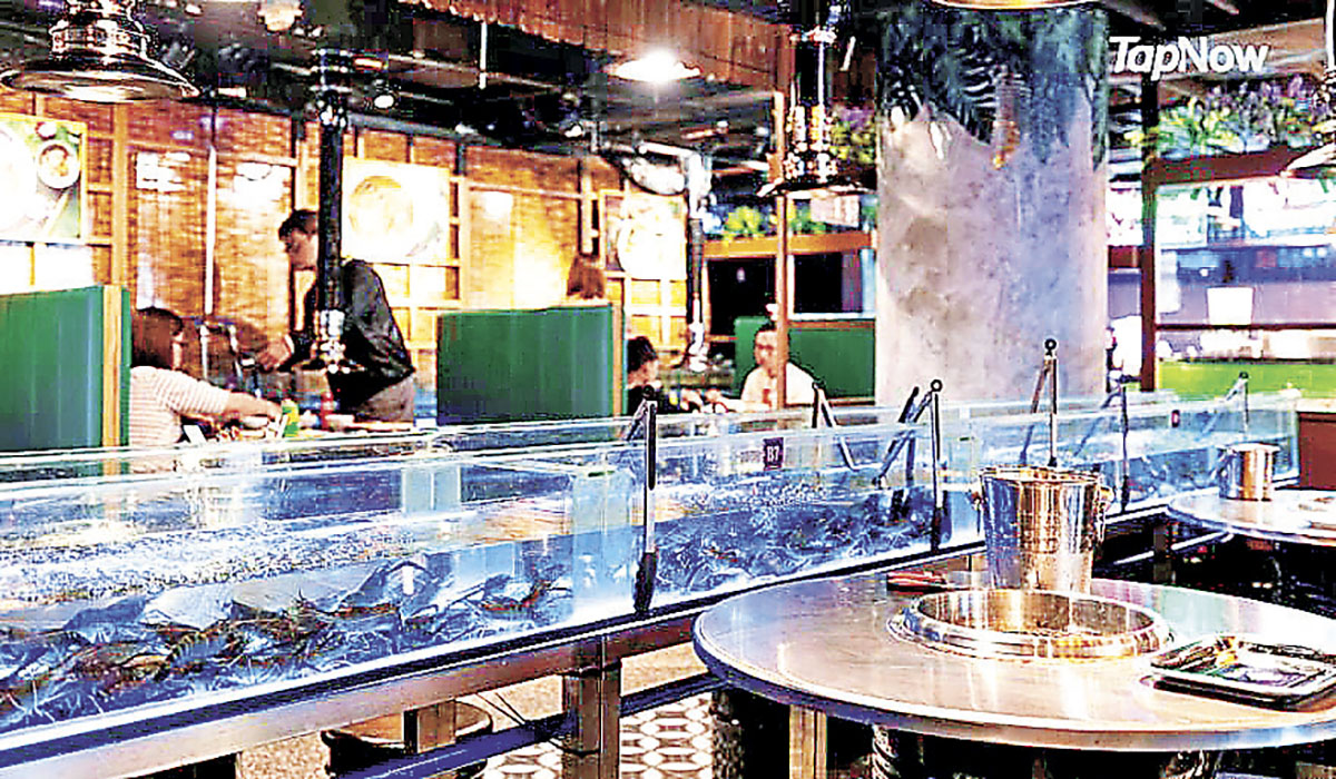 ■20米長大水缸即夾流水蝦。