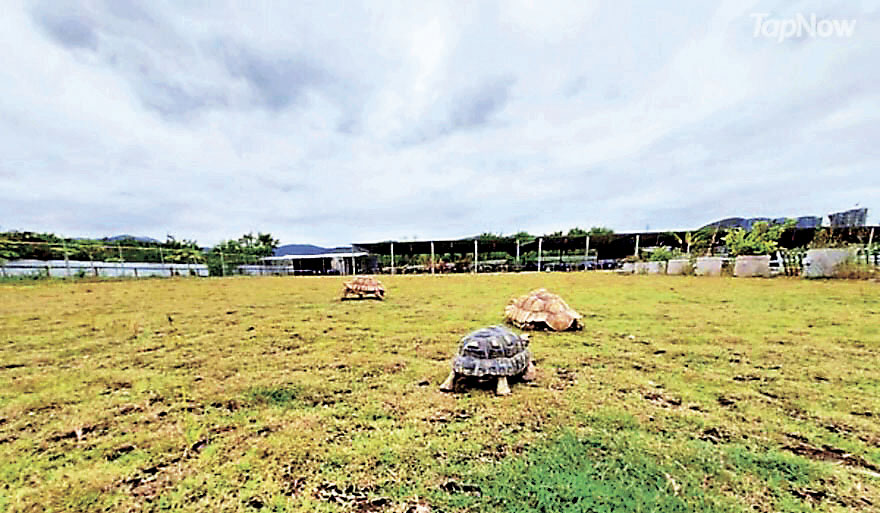 ■和小動物近距離接觸。