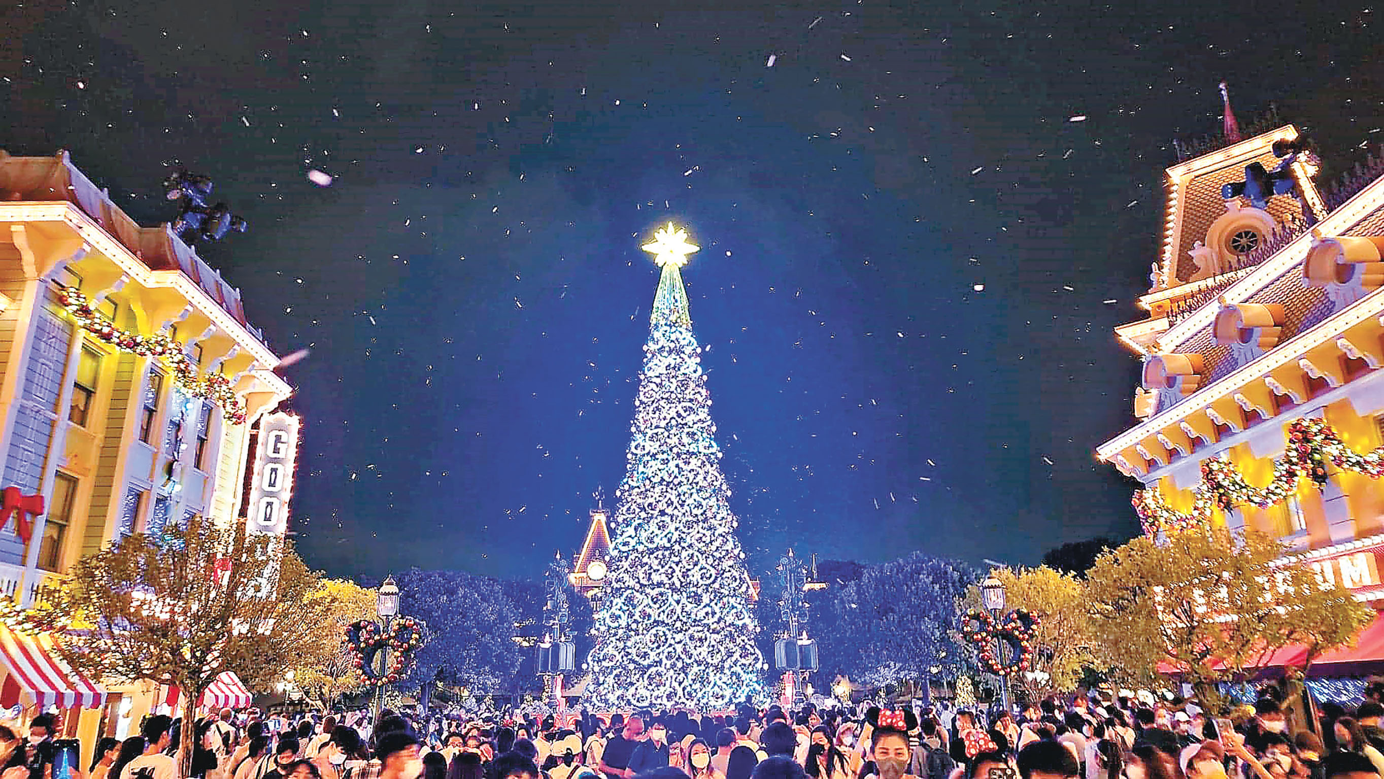 ■夢想成真聖誕樹亮燈禮。