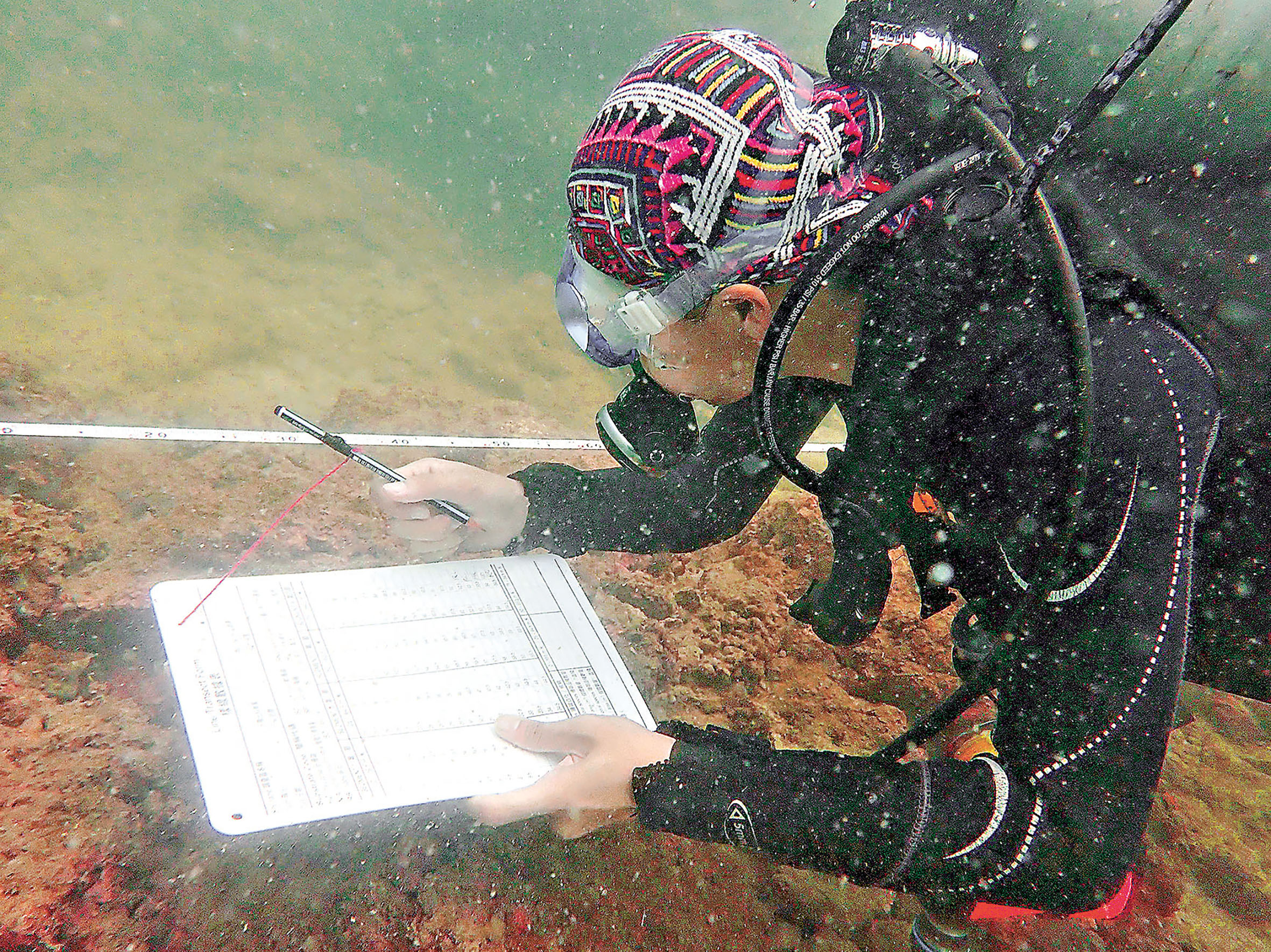 ■義務潛水隊在多個地點作「珊瑚檢視」。 	政府新聞處