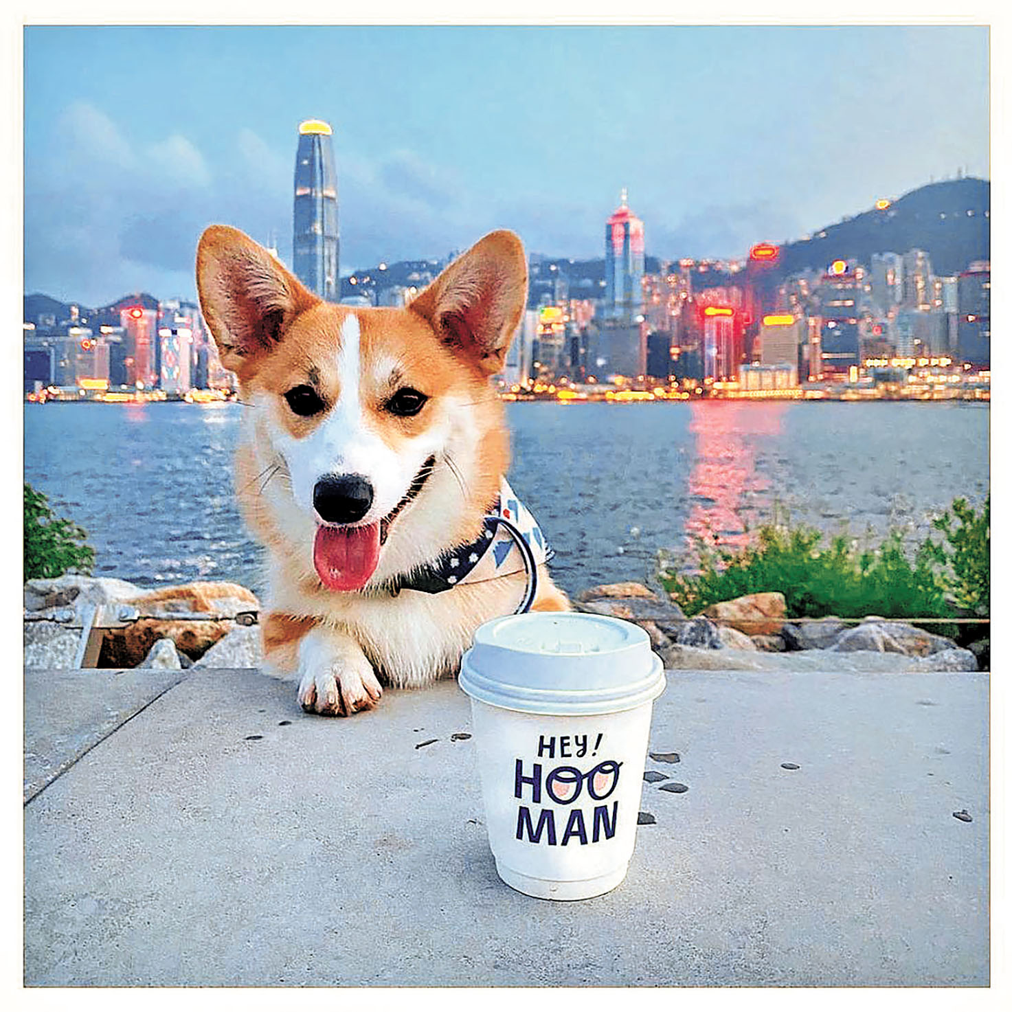 ■Hooman By The Sea坐擁無敵海景。hooman.cafe@Ig