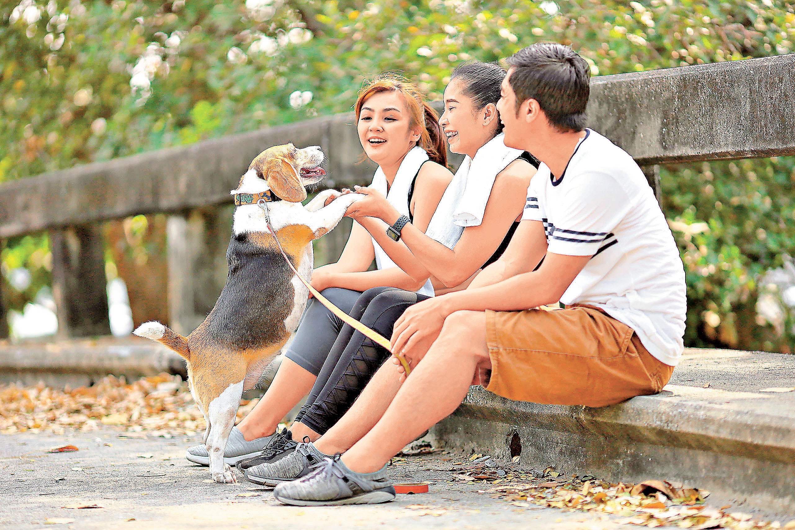 ■寵物是人類最好的夥伴，不應對其施虐。