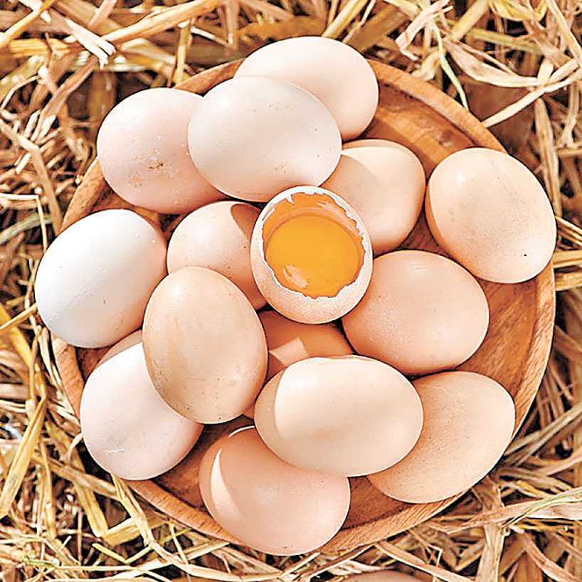 ■四川樂道子雞蛋