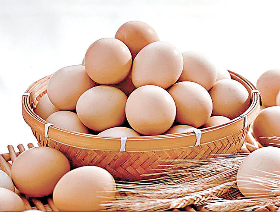 ■河北崇禮柴雞蛋