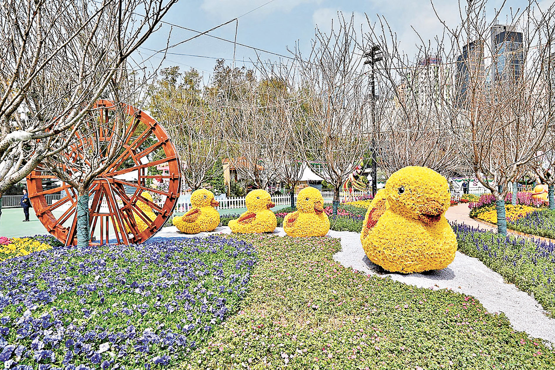 ■以春天為主題的花壇。   政府新聞網