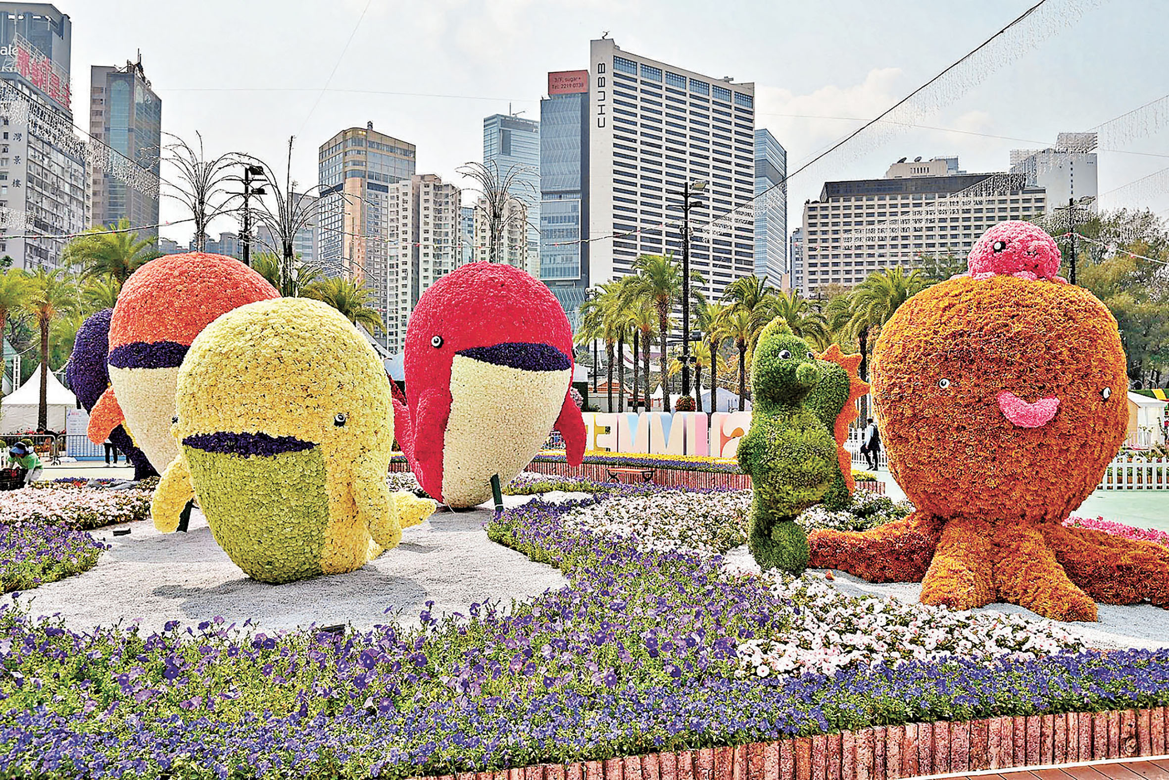 ■以夏天為主題的花壇。   政府新聞網