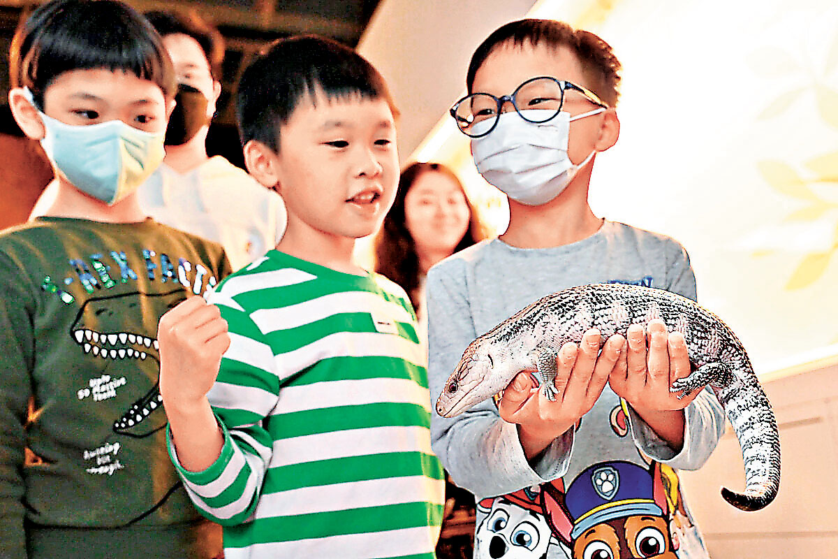 ■小朋友抱起藍舌石龍子Mojito時非常興奮。