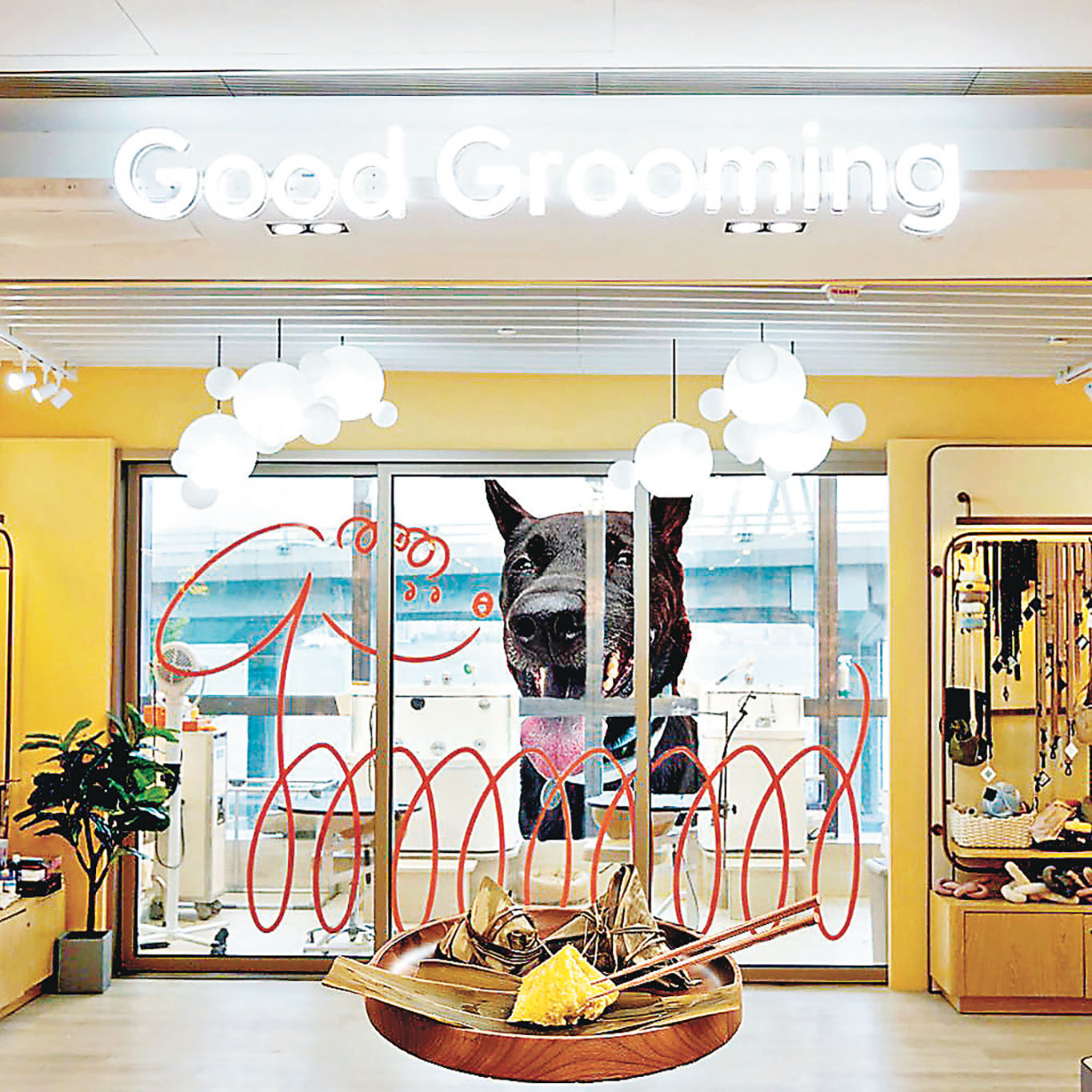 ■烹飪班可為寵物製作端午糉鮮食。