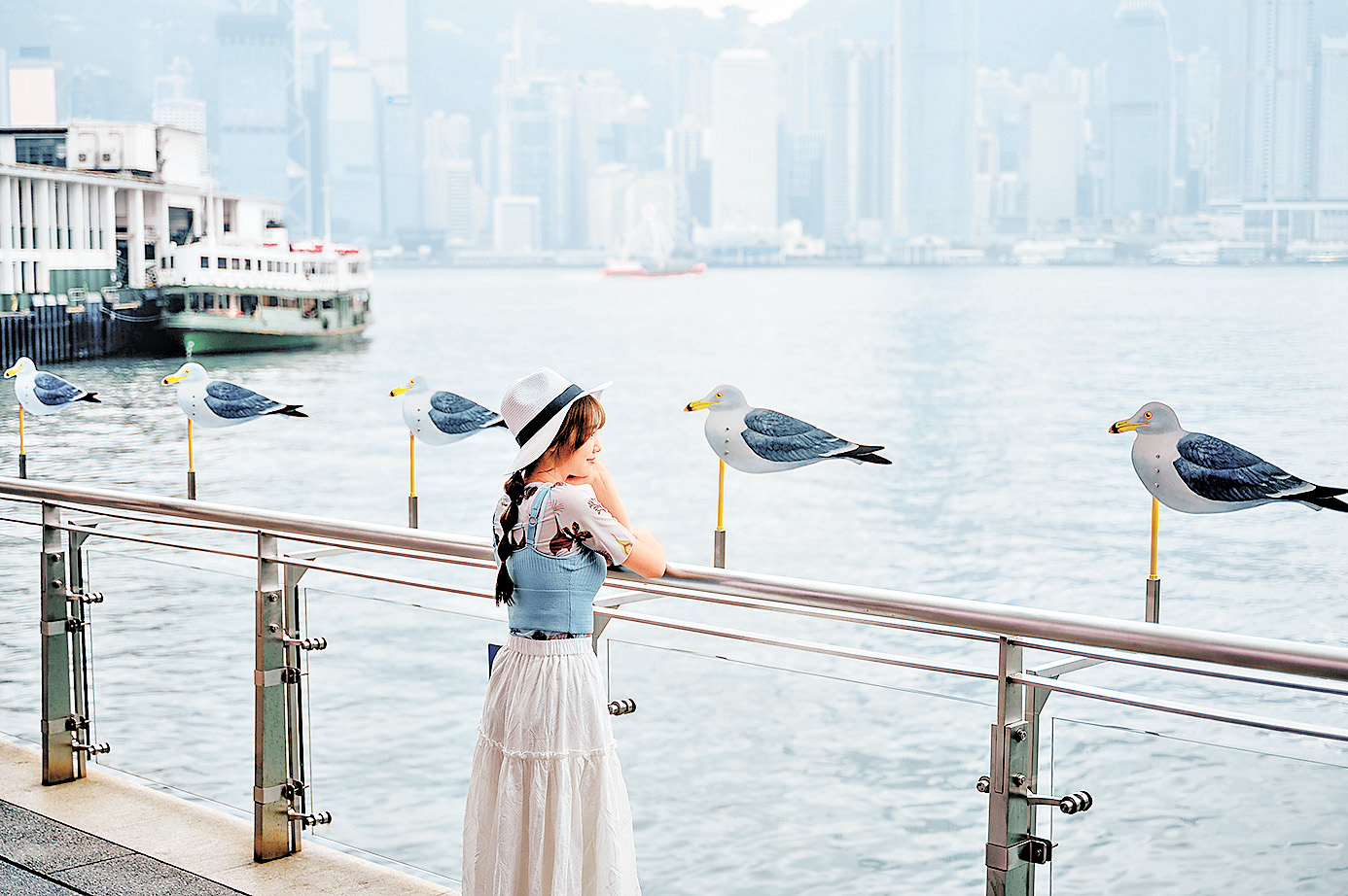 ■60多隻「海鷗」暫居海港城。