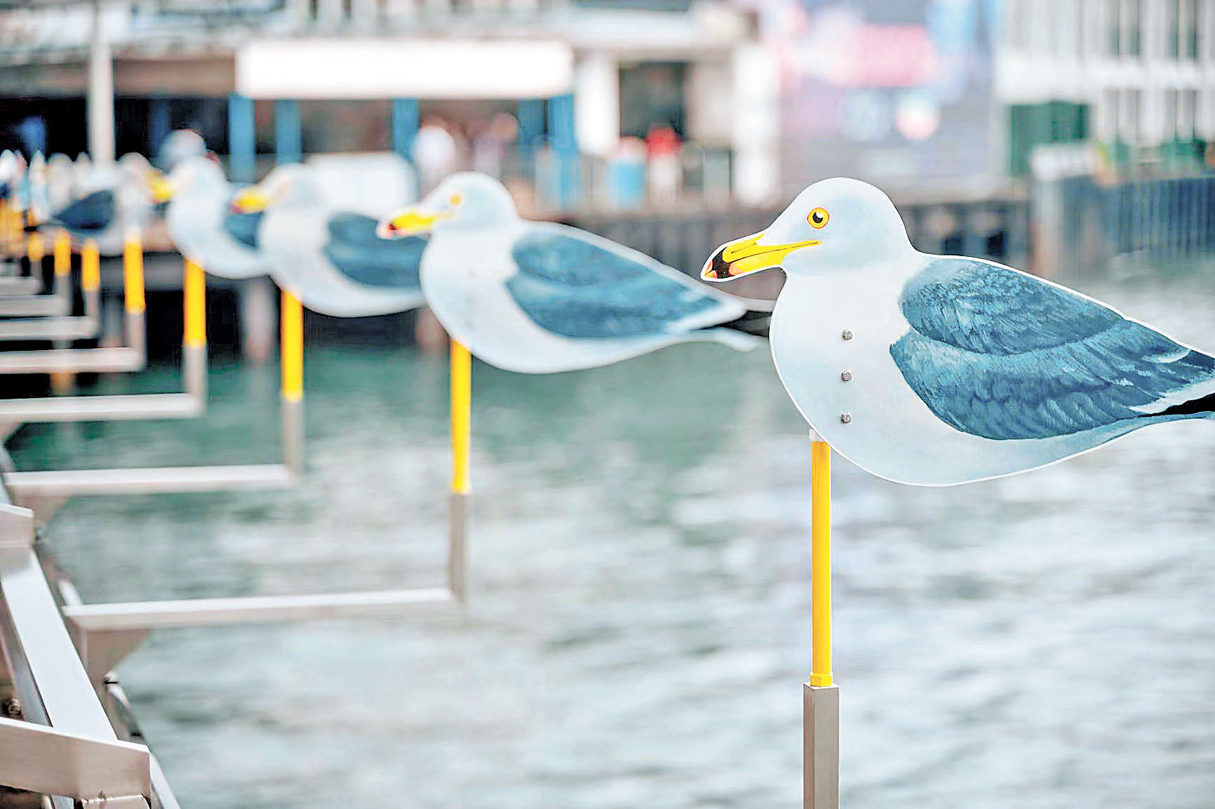■著名日本藝術家木村崇人創作的「海鷗の港」公共藝術裝置。