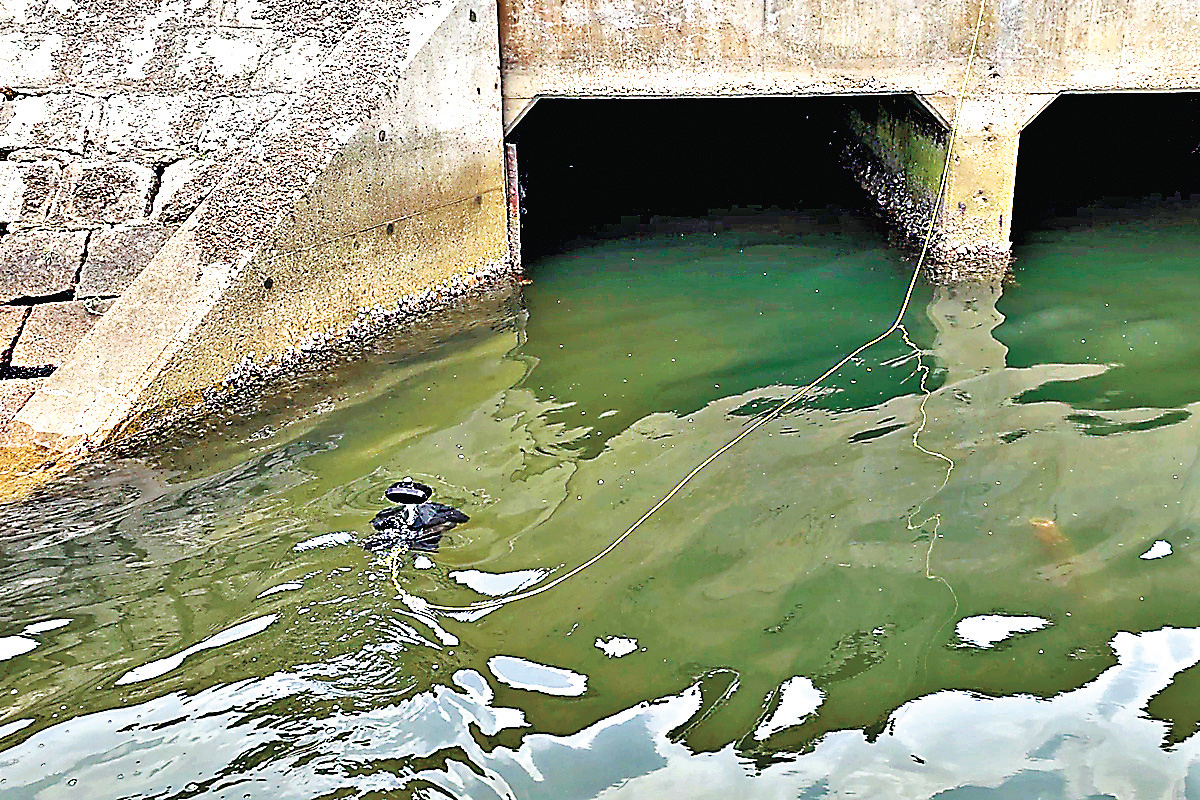■潛水艇潛入沙田城門河渠道追蹤污染源頭。