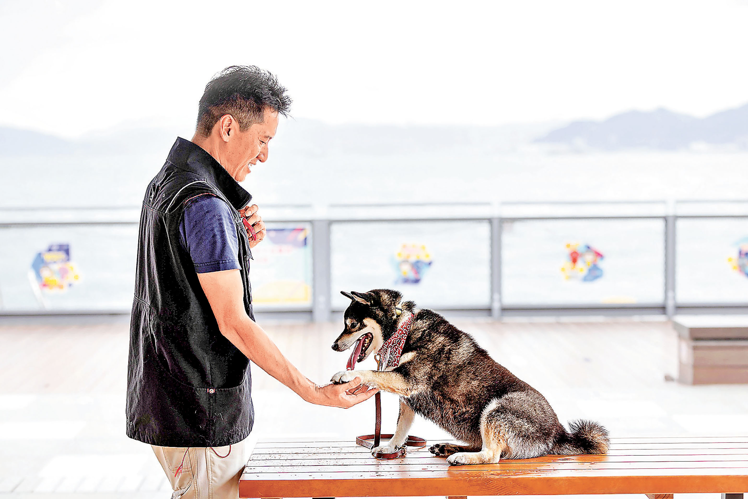 ■在維港海濱與狗隻交朋友。