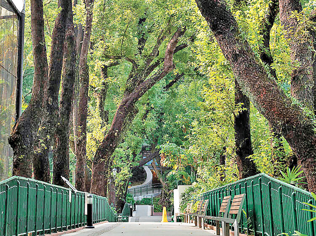 ■不要抄近路,行走公園小徑。 資料圖片