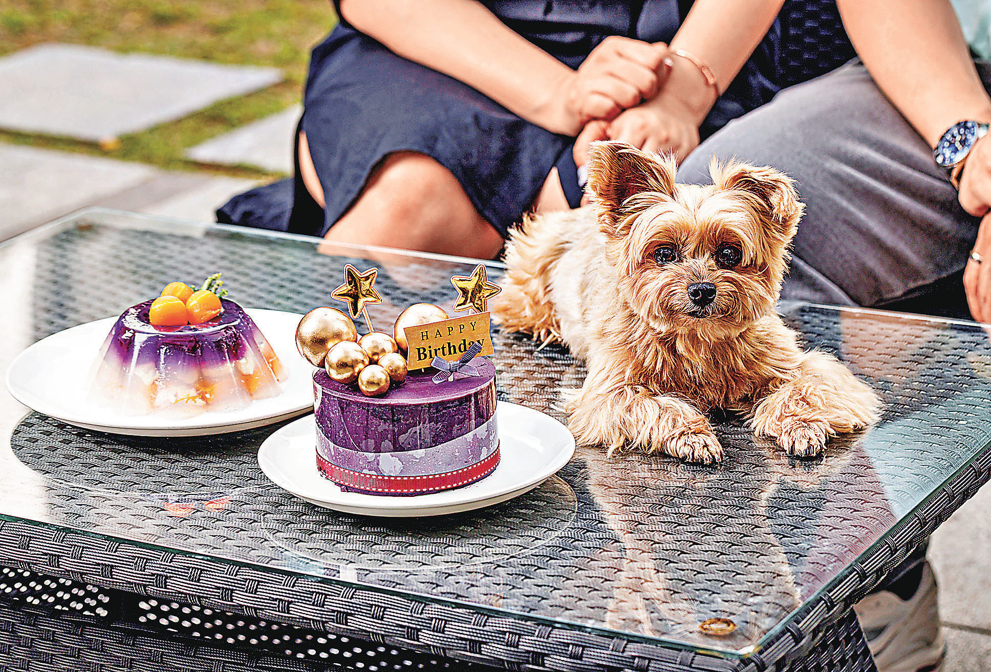 ■可預訂狗狗食用蛋糕為狗狗慶生。