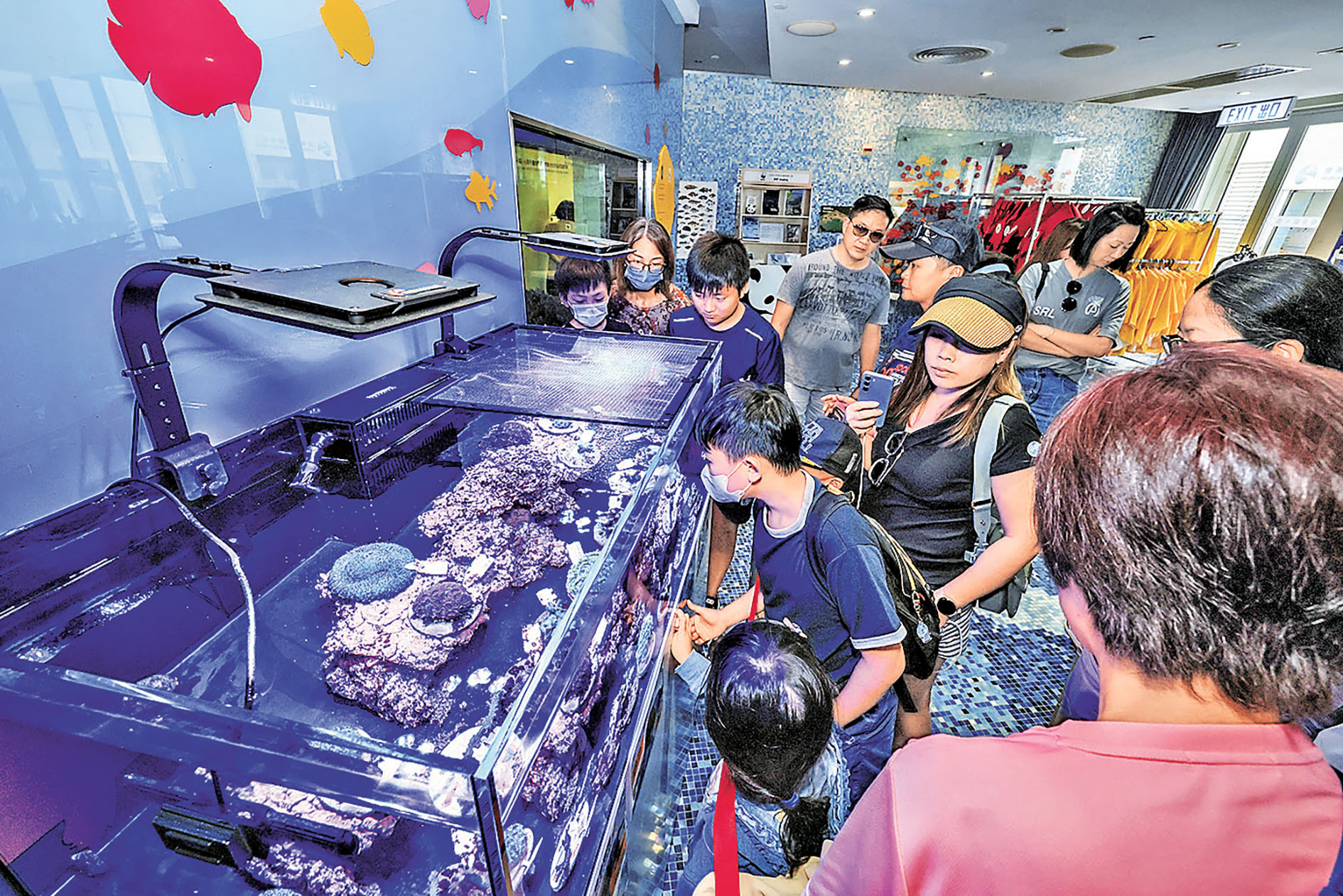 ■「海下初探」讓一家大細學習海洋保育知識。