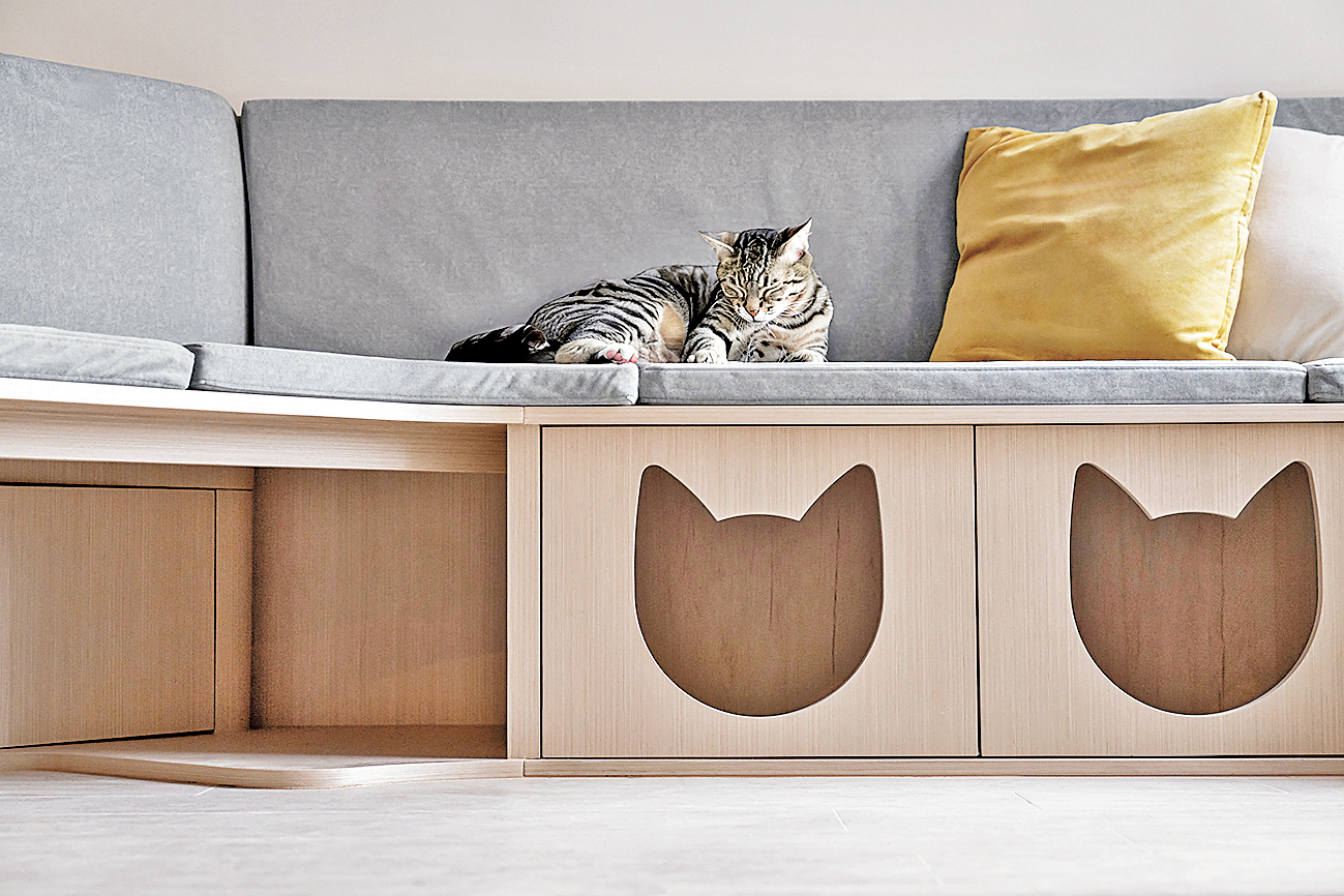 ■梳化下的收納櫃變身小貓休憩地方。