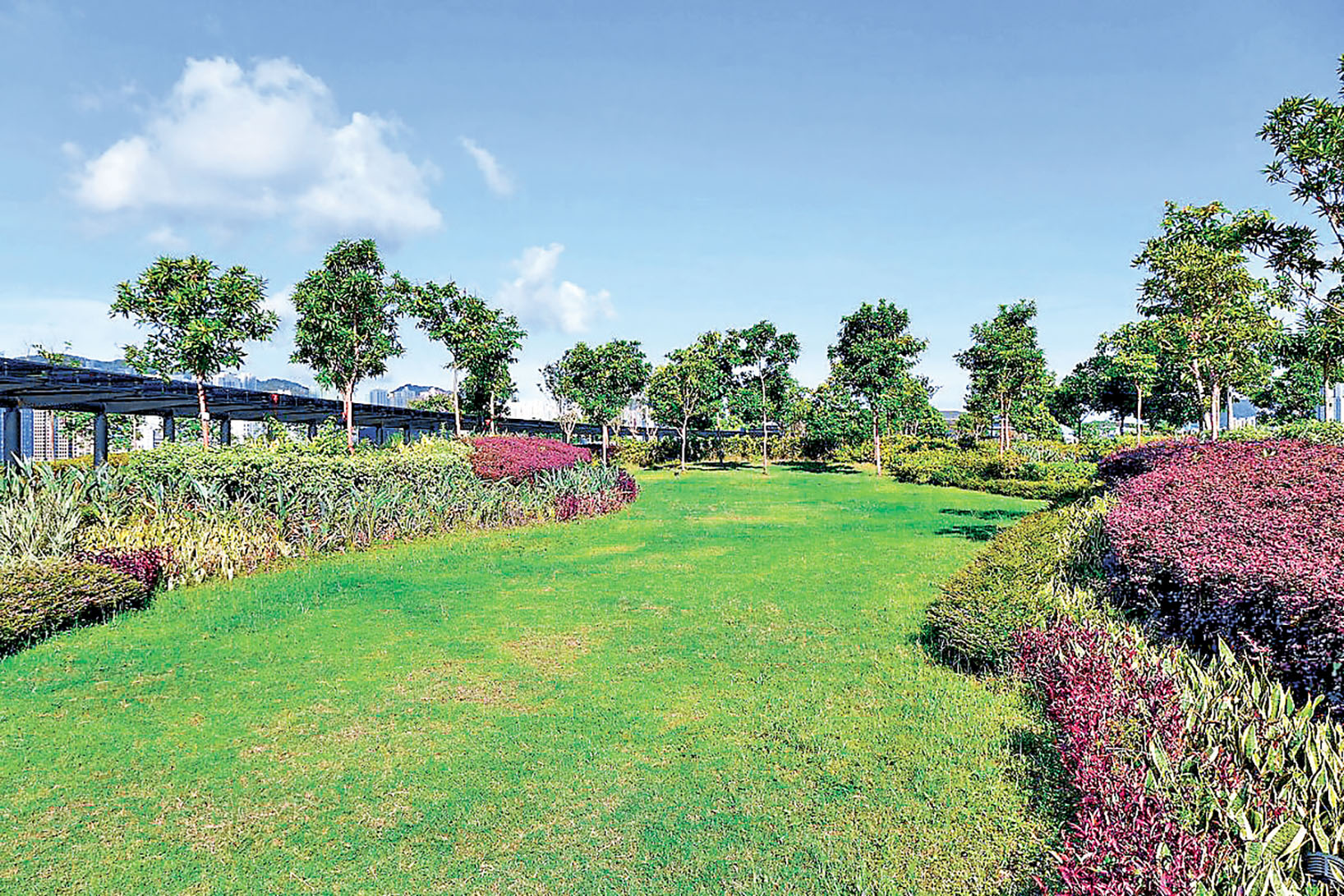 ■啟德郵輪碼頭公園種植了不同花草樹木。