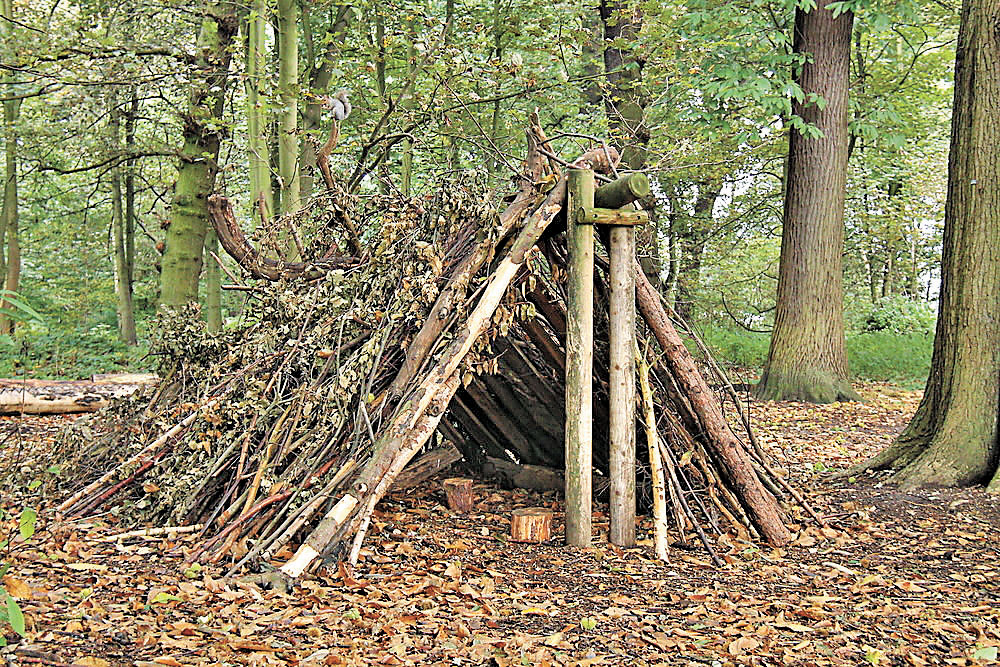 ■被困野外，我們要利用周圍的自然資源來建立庇護所。 網上圖片