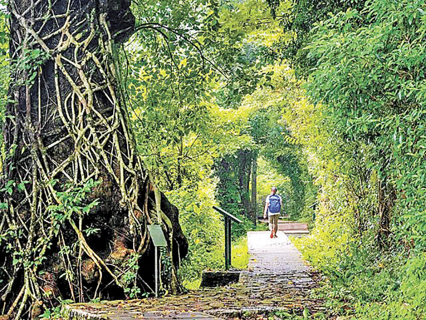 ■紅樹林自然步道平坦易行，適合遠足新手。