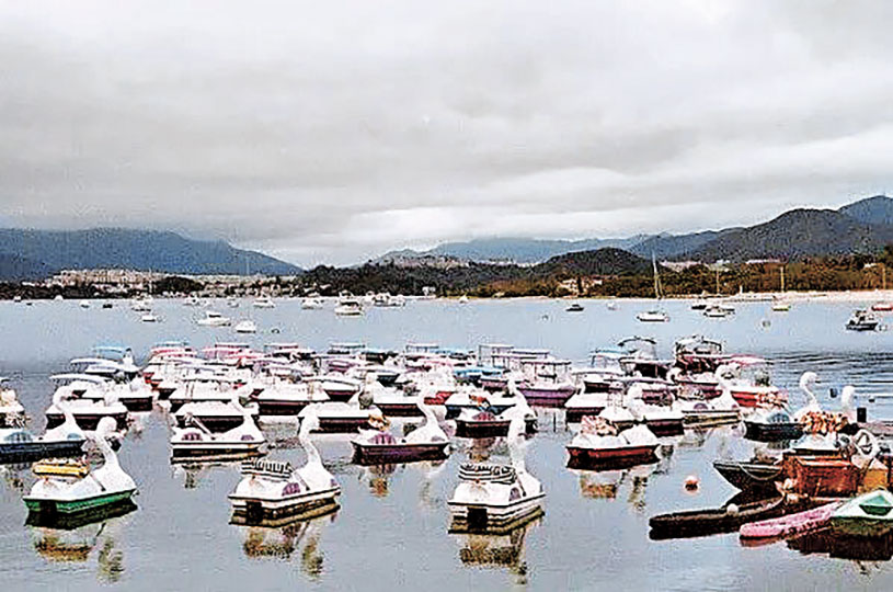 ■大美督有不同類型的水上單車可供選擇。